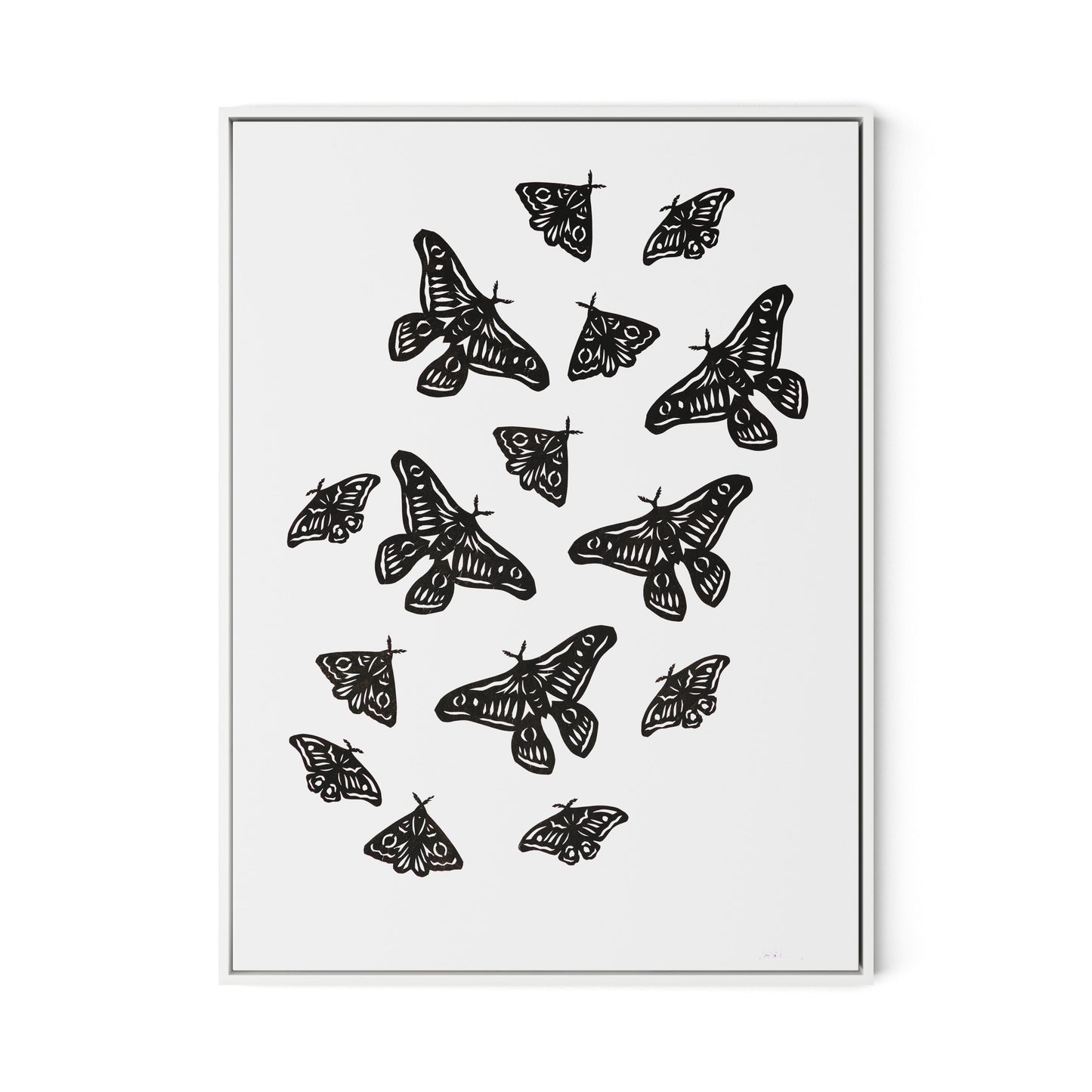 Black Moths Canvas Floater Framed / 24 x 32 in / White