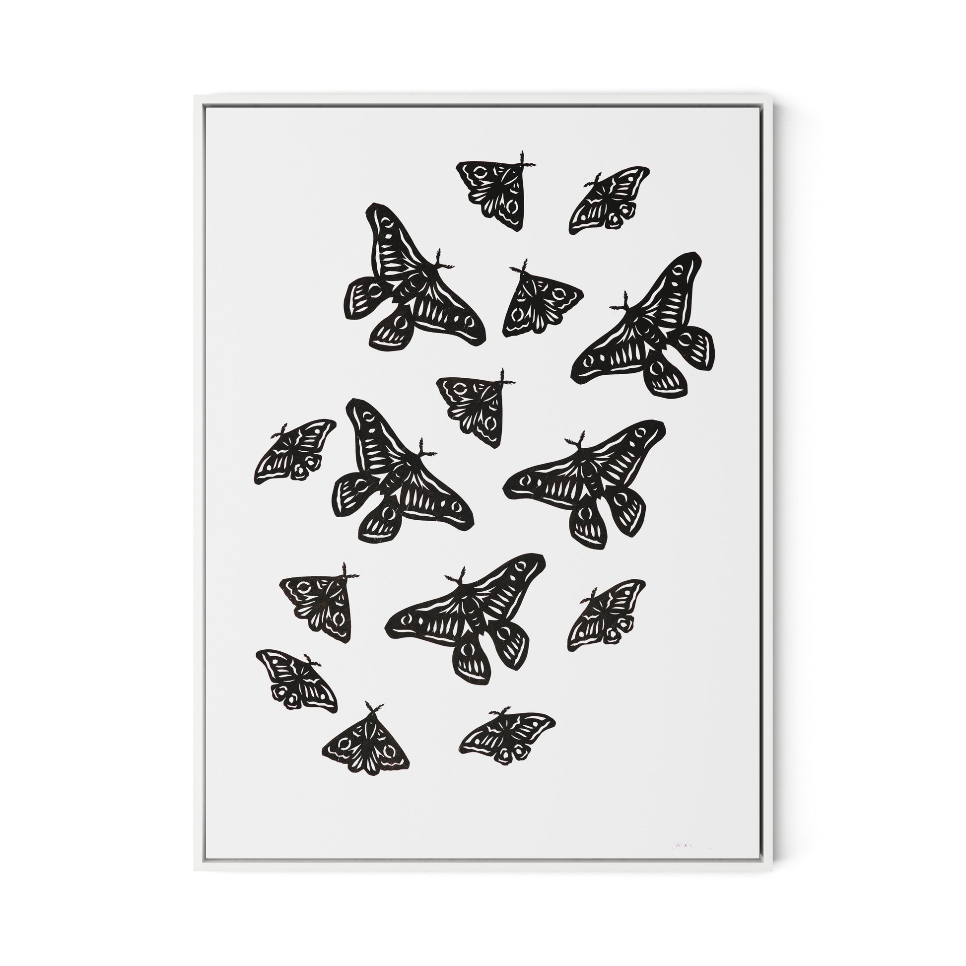 Black Moths Canvas Floater Framed / 24 x 32 in / White