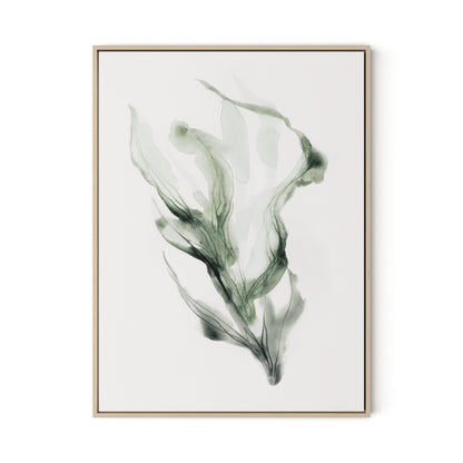 Alga 1 - Kelp Canvas Floater Framed / 24 x 32 in / Natural Maple