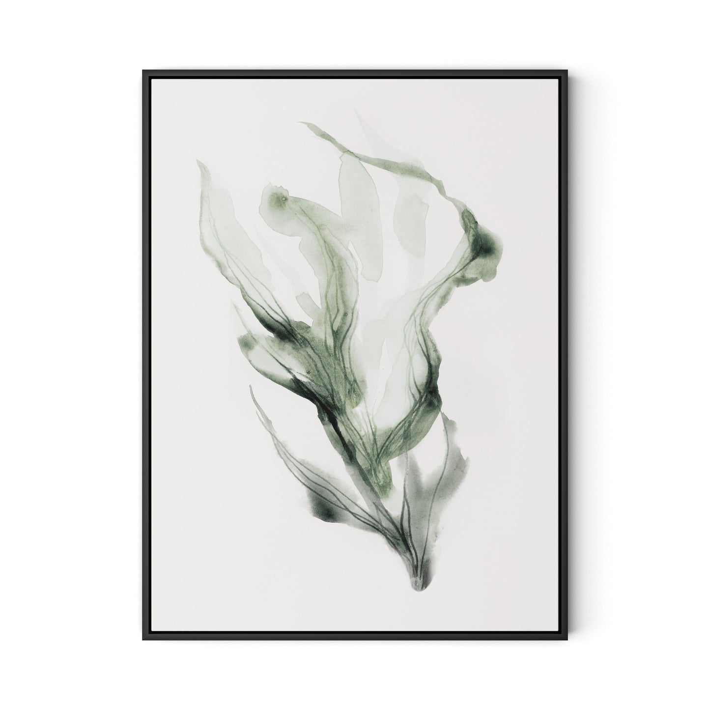 Alga 1 - Kelp Canvas Floater Framed / 24 x 32 in / Black