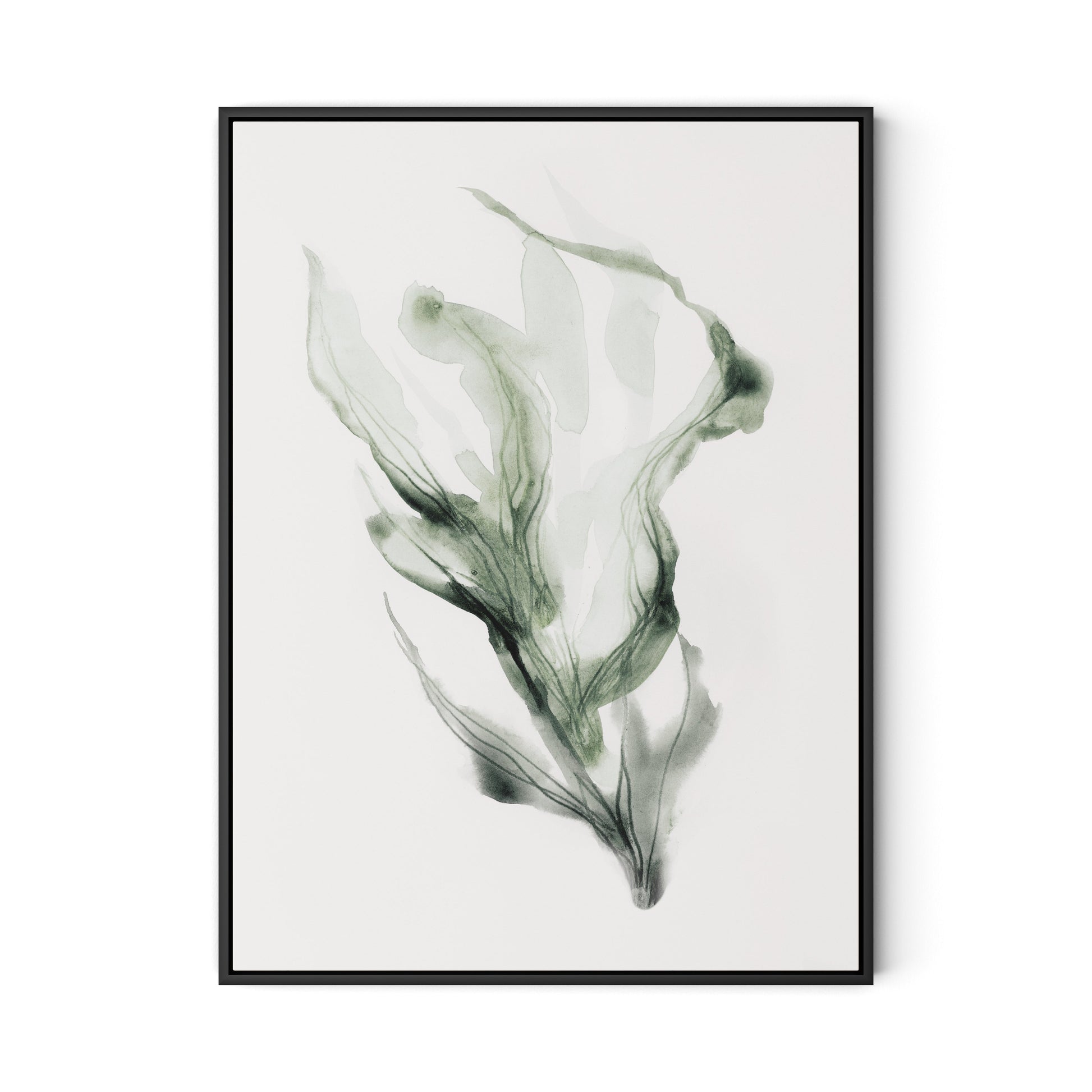 Alga 1 - Kelp Canvas Floater Framed / 24 x 32 in / Black