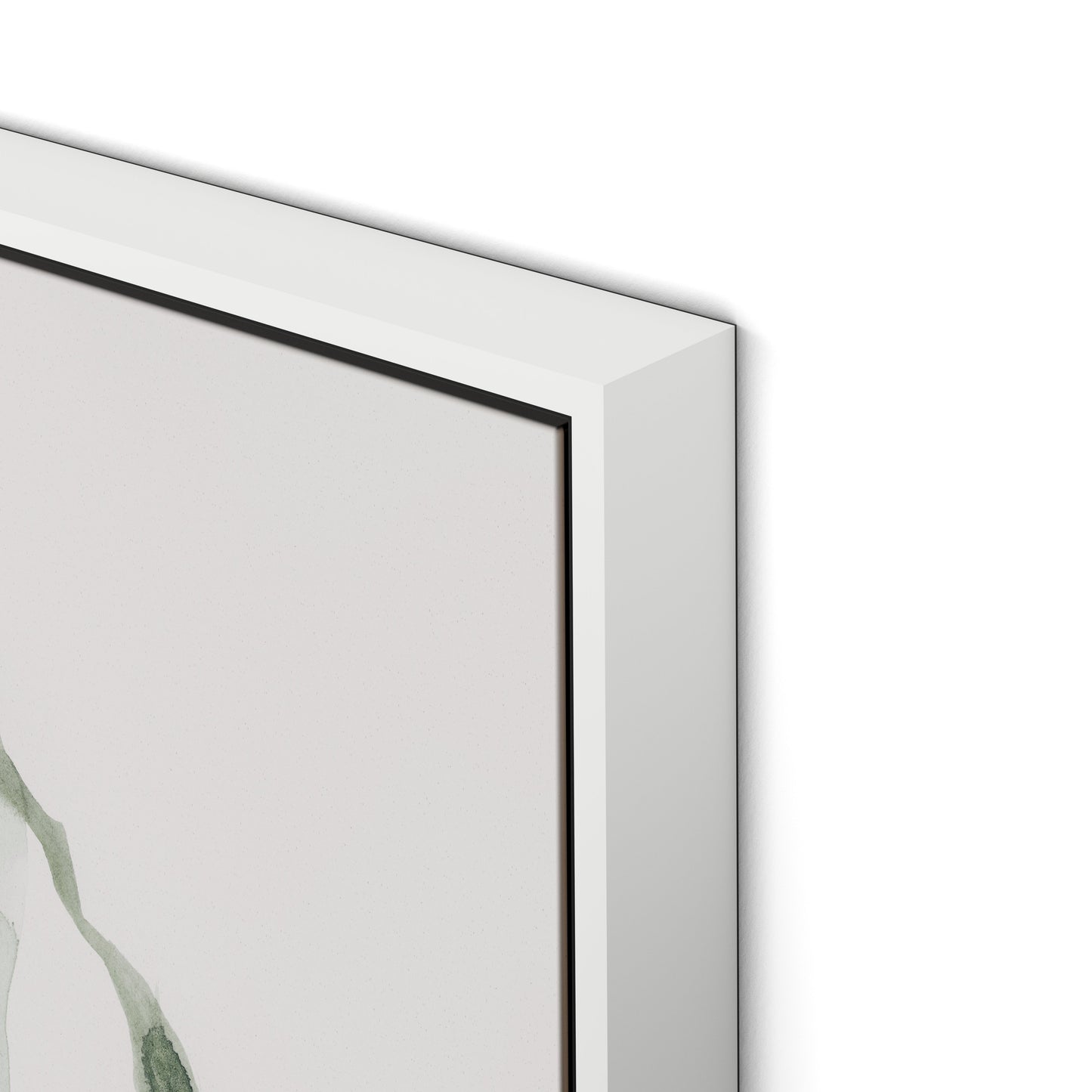 Alga 1 - Kelp Canvas Floater Framed / 24 x 32 in / White