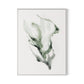 Alga 1 - Kelp Canvas Floater Framed / 24 x 32 in / White
