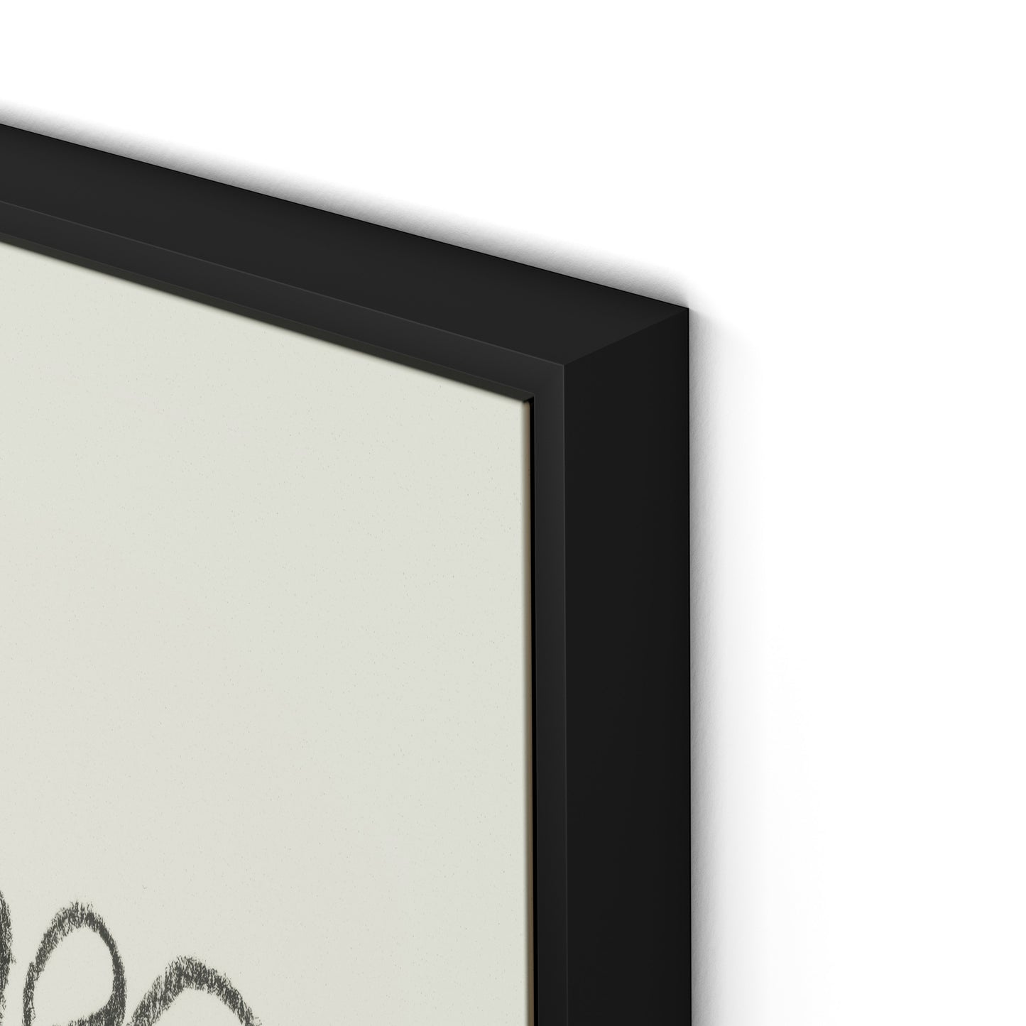 House Plant Canvas Floater Framed / 24 x 32 in / Black