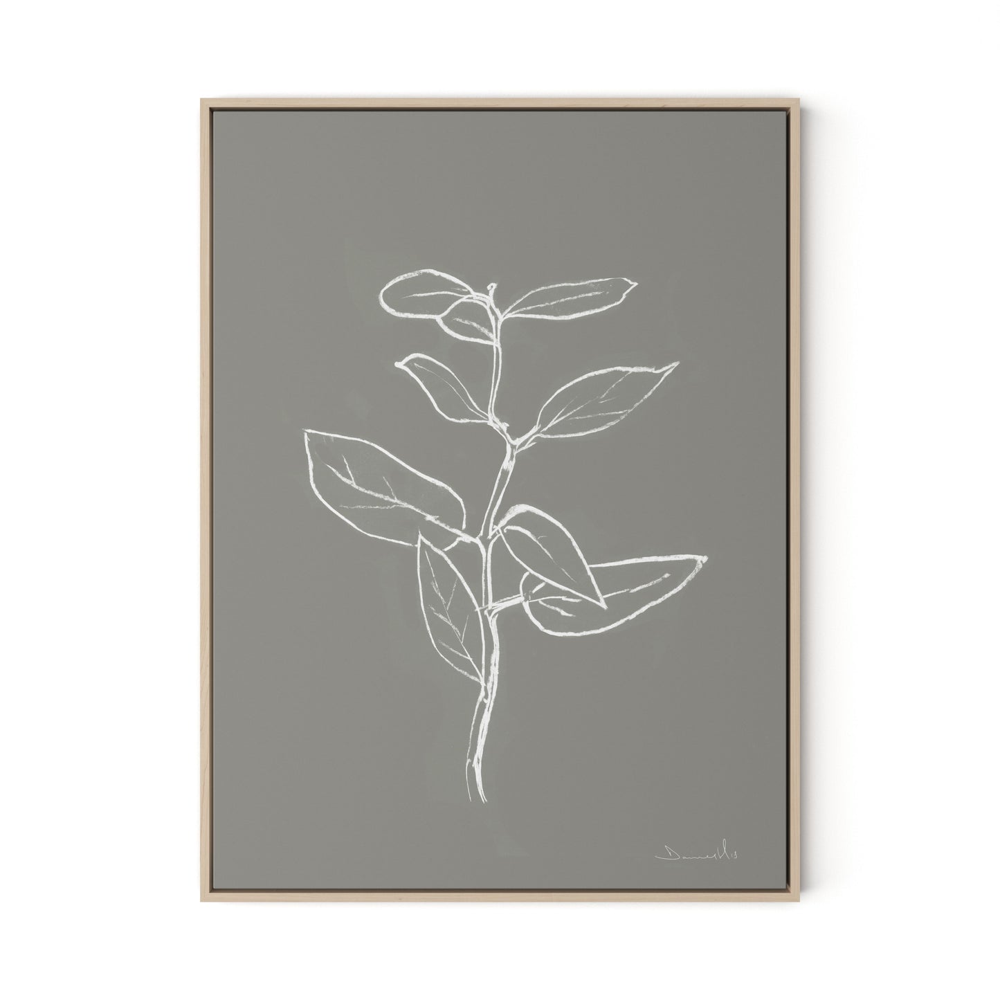 Eucalyptus Sapling - Muddled Canvas Floater Framed / 24 x 32 in / Natural Maple