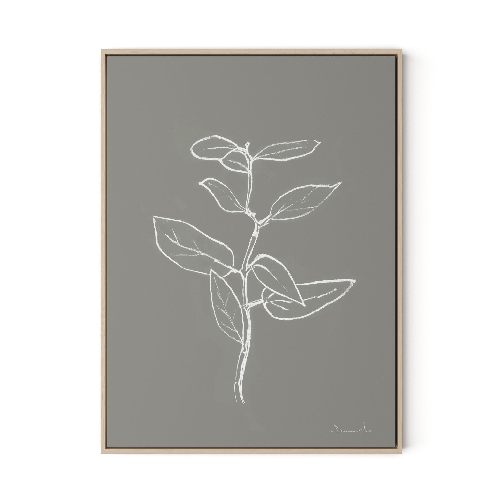 Eucalyptus Sapling - Muddled Canvas Floater Framed / 24 x 32 in / Natural Maple