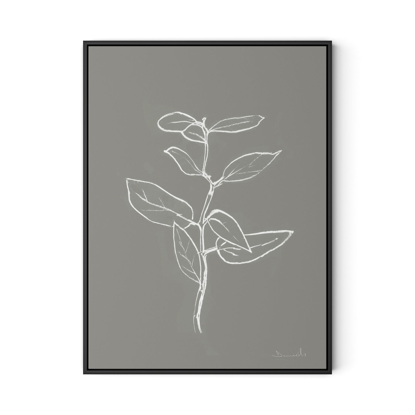 Eucalyptus Sapling - Muddled Canvas Floater Framed / 24 x 32 in / Black
