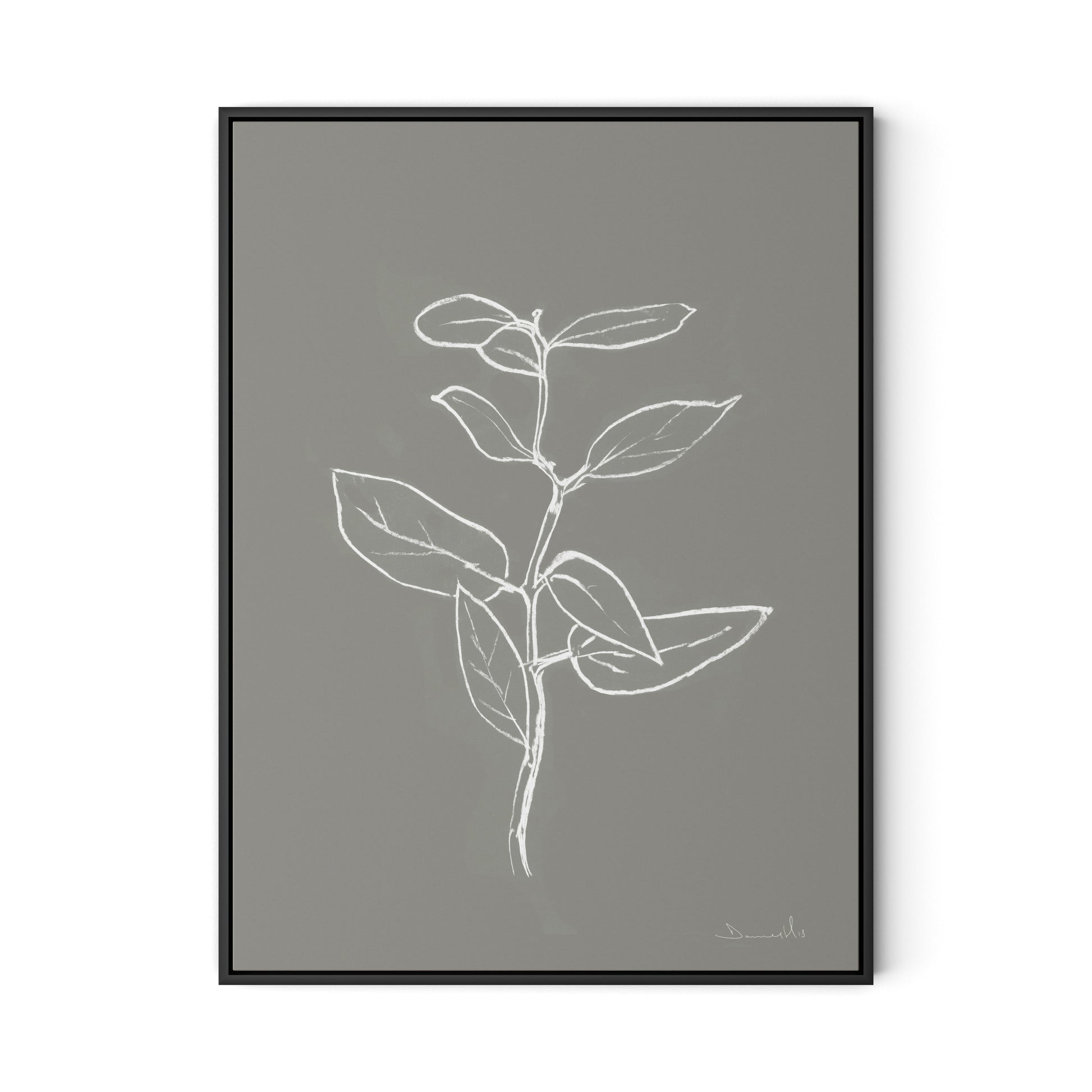 Eucalyptus Sapling - Muddled Canvas Floater Framed / 24 x 32 in / Black