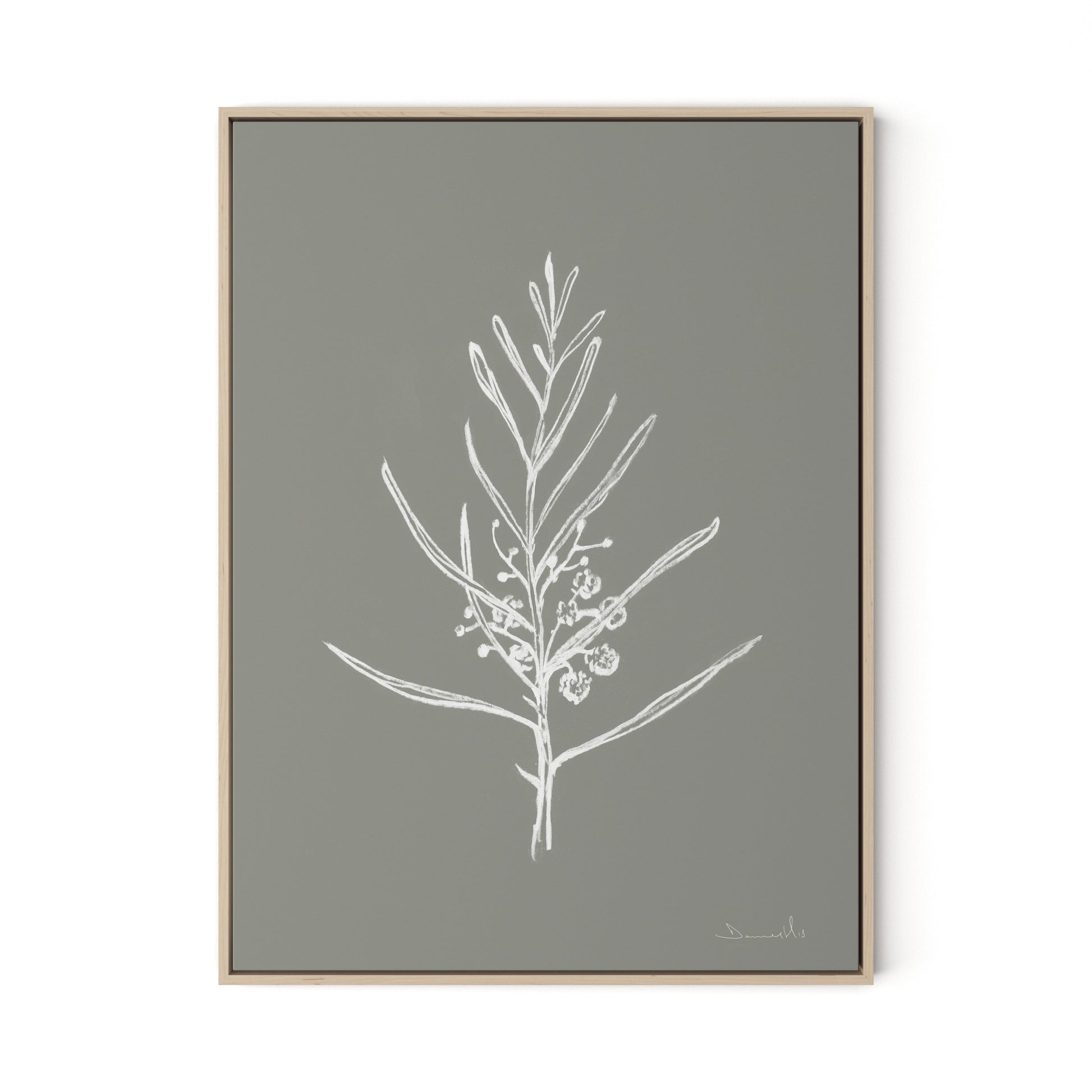 Blackwood Sapling - Muddled Canvas Floater Framed / 24 x 32 in / Natural Maple