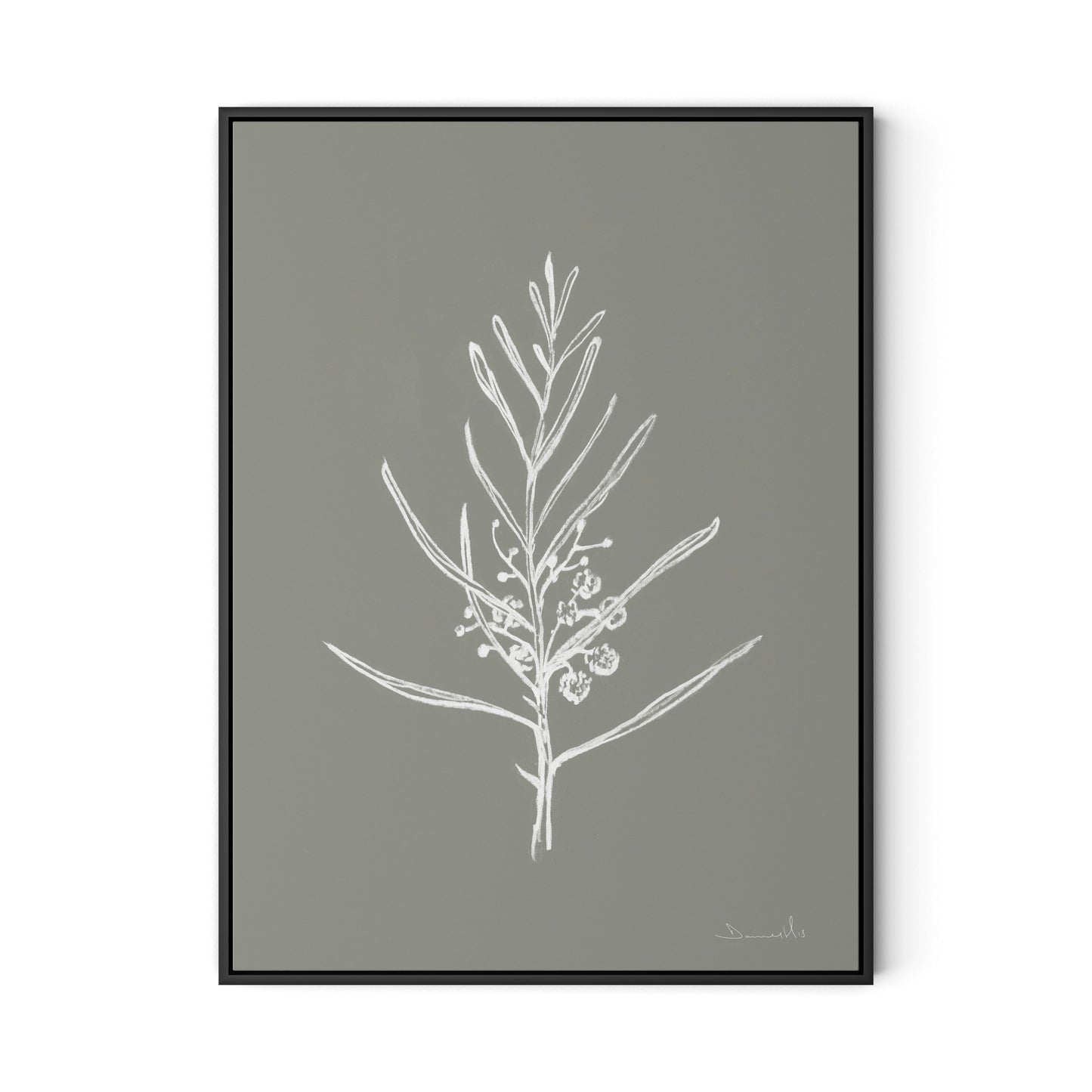 Blackwood Sapling - Muddled Canvas Floater Framed / 24 x 32 in / Black