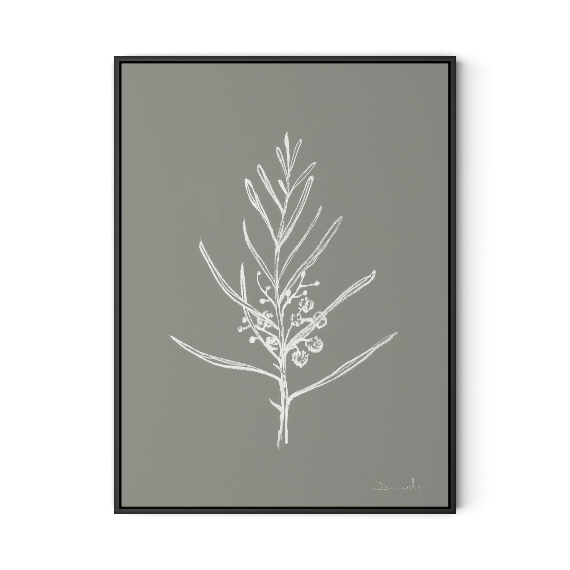 Blackwood Sapling - Muddled Canvas Floater Framed / 24 x 32 in / Black