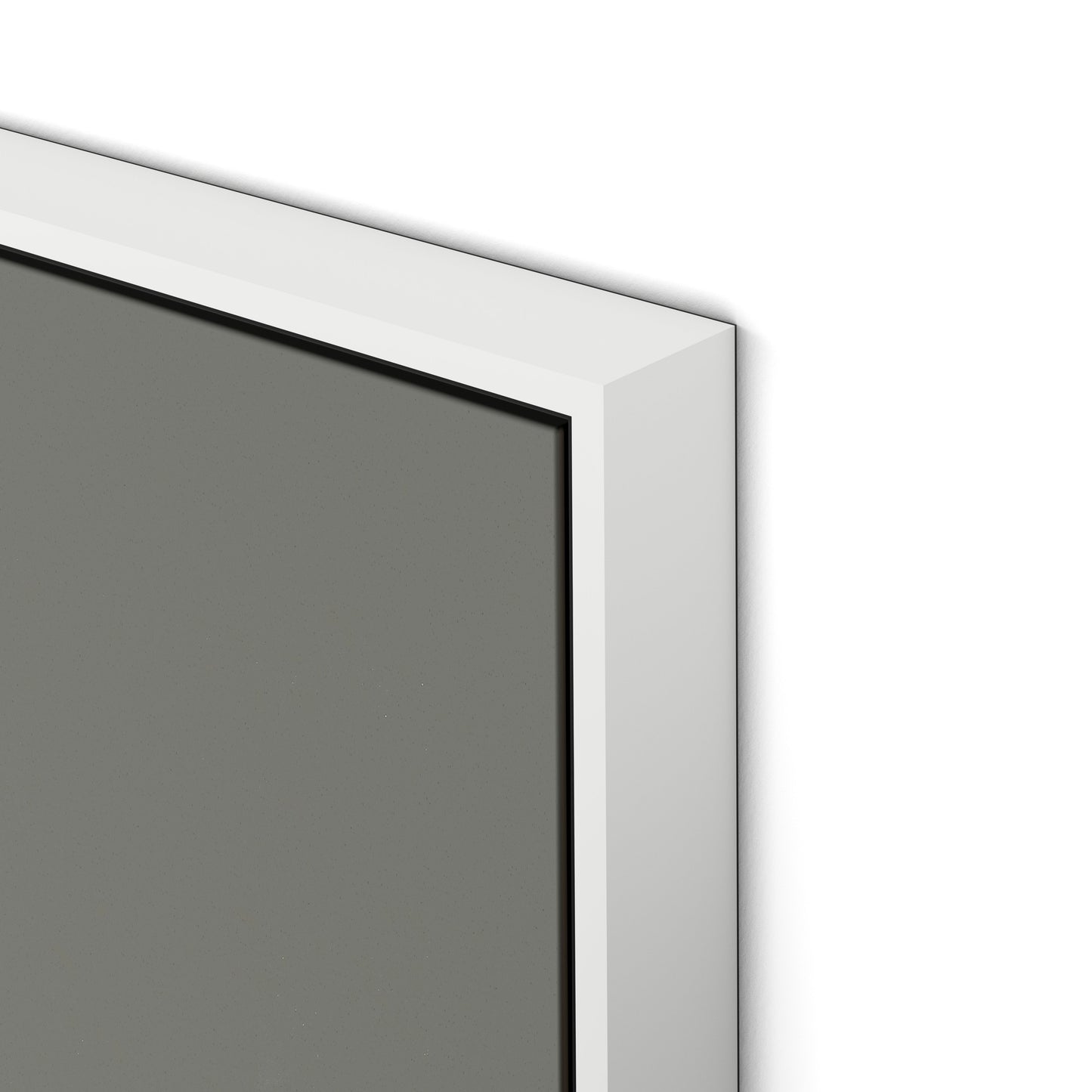 Blackwood Sapling - Muddled Canvas Floater Framed / 24 x 32 in / White