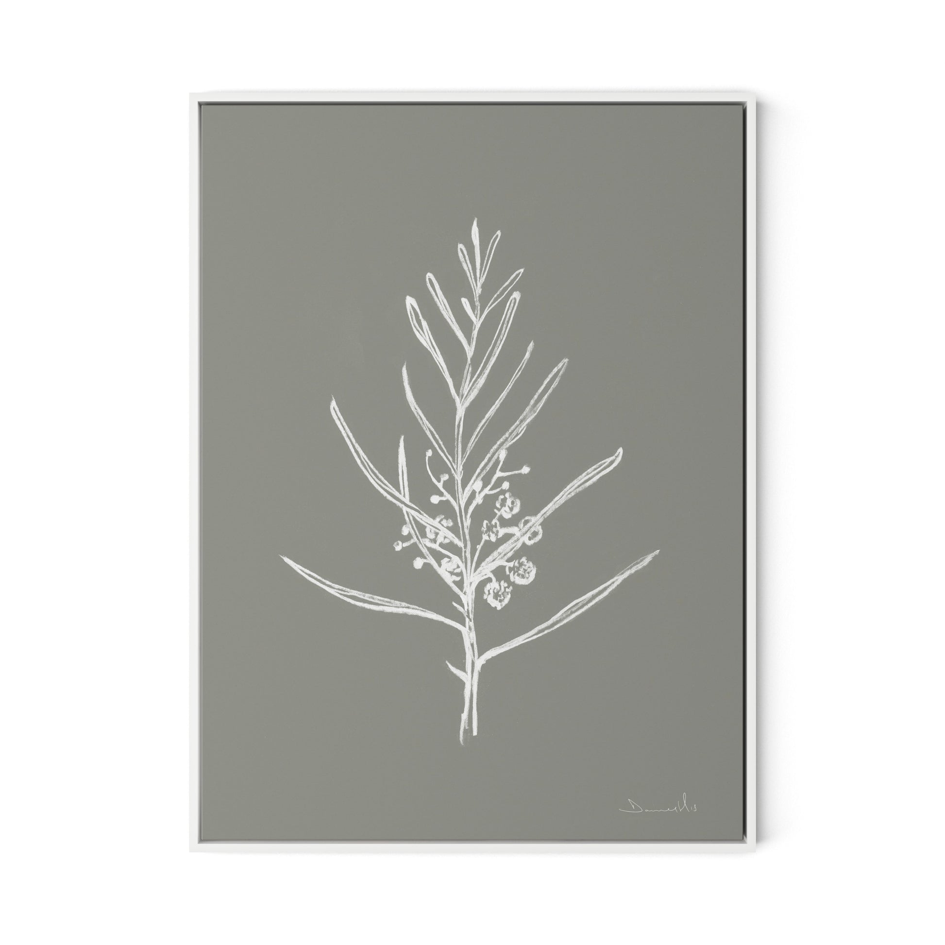 Blackwood Sapling - Muddled Canvas Floater Framed / 24 x 32 in / White