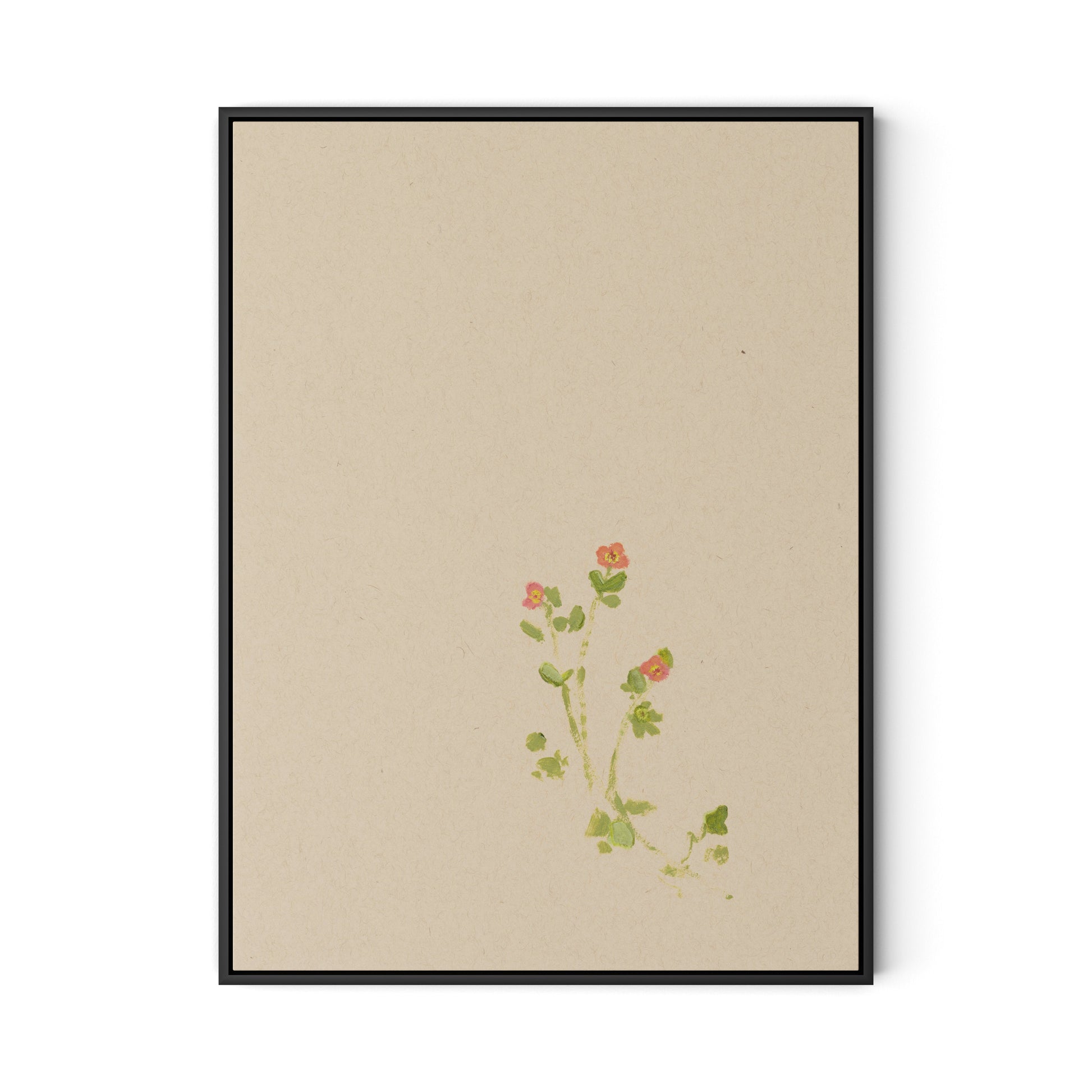 Botanical IV Canvas Floater Framed / 24 x 32 in / Black