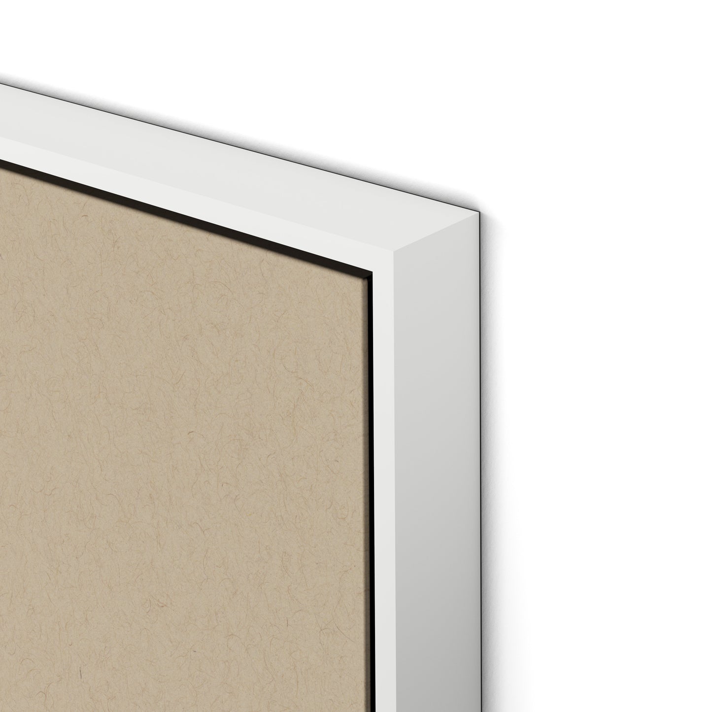 Botanical IV Canvas Floater Framed / 24 x 32 in / White