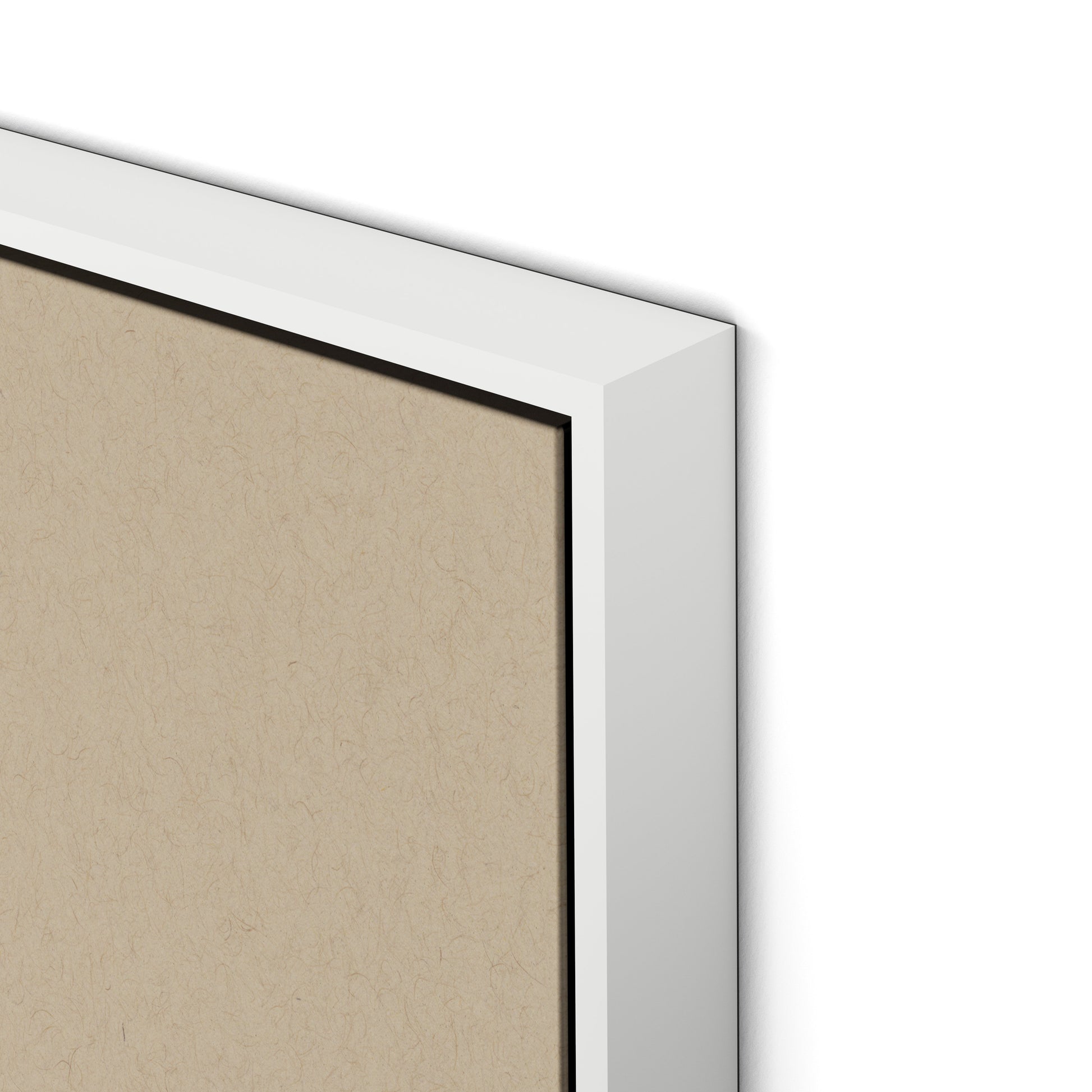 Botanical IV Canvas Floater Framed / 24 x 32 in / White