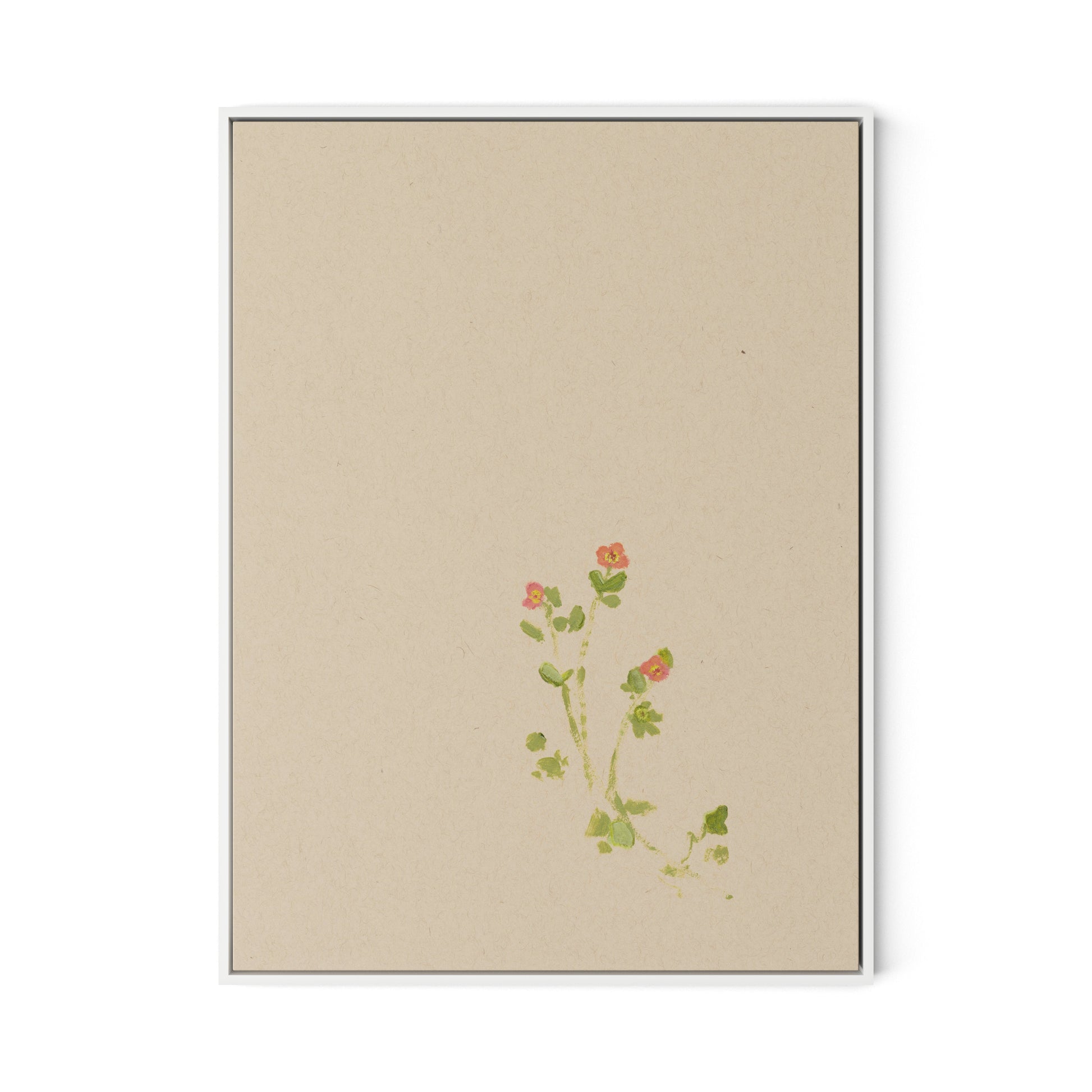 Botanical IV Canvas Floater Framed / 24 x 32 in / White