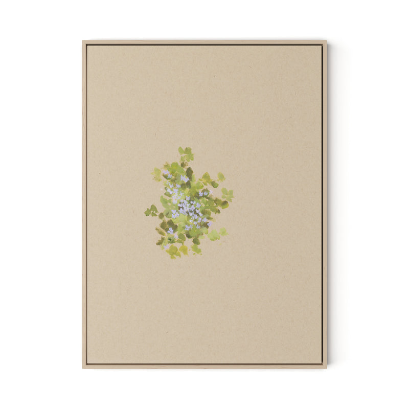 Botanical V