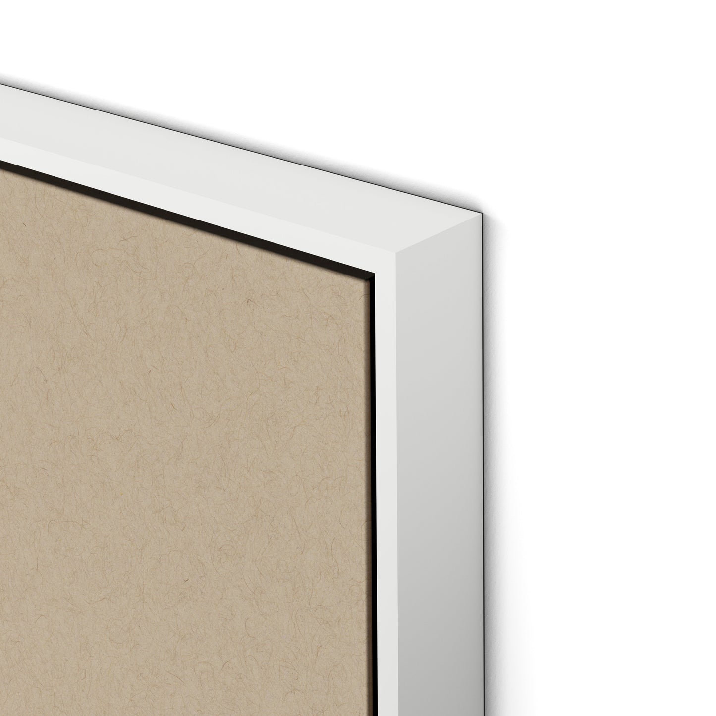 Botanical I Canvas Floater Framed / 24 x 32 in / White