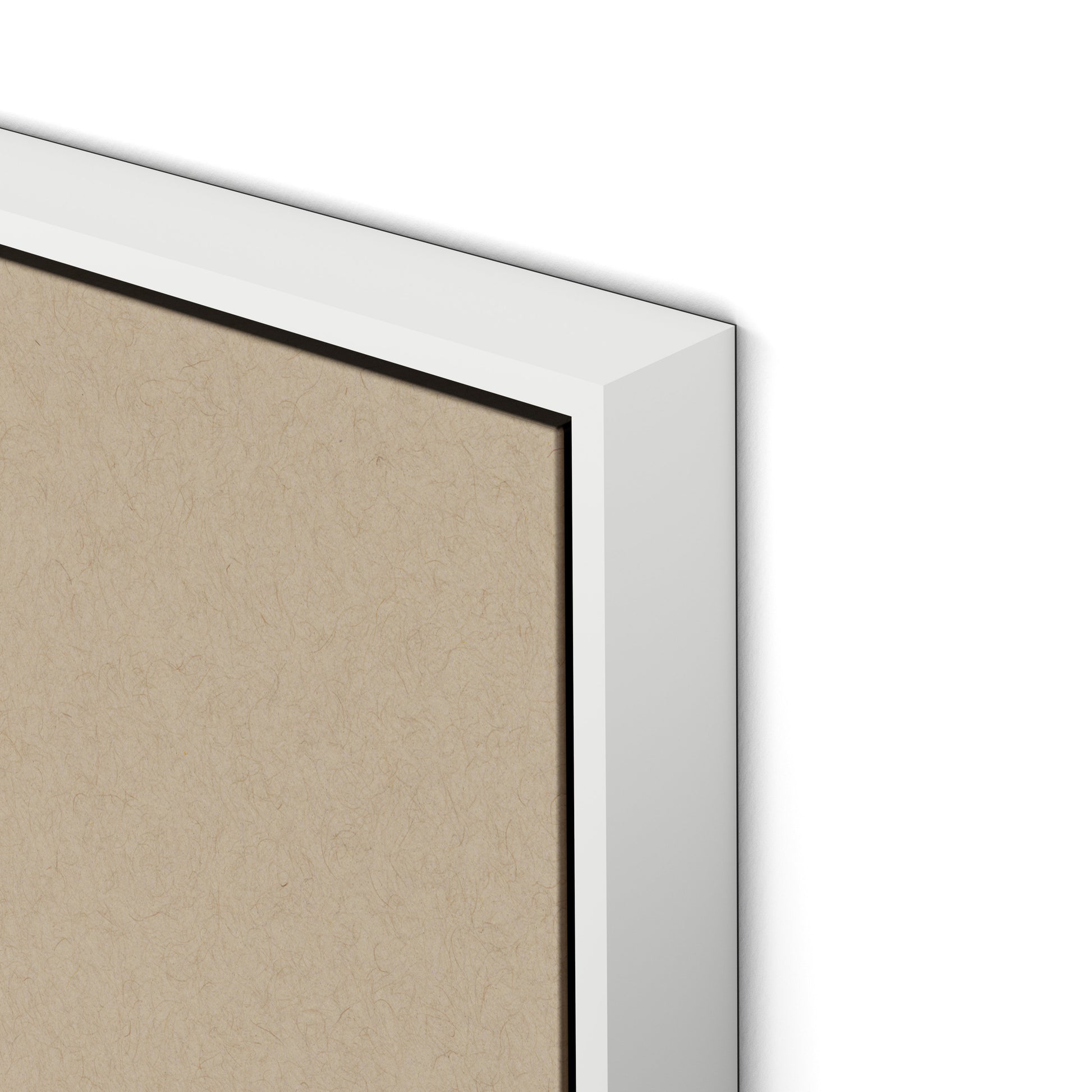 Botanical I Canvas Floater Framed / 24 x 32 in / White