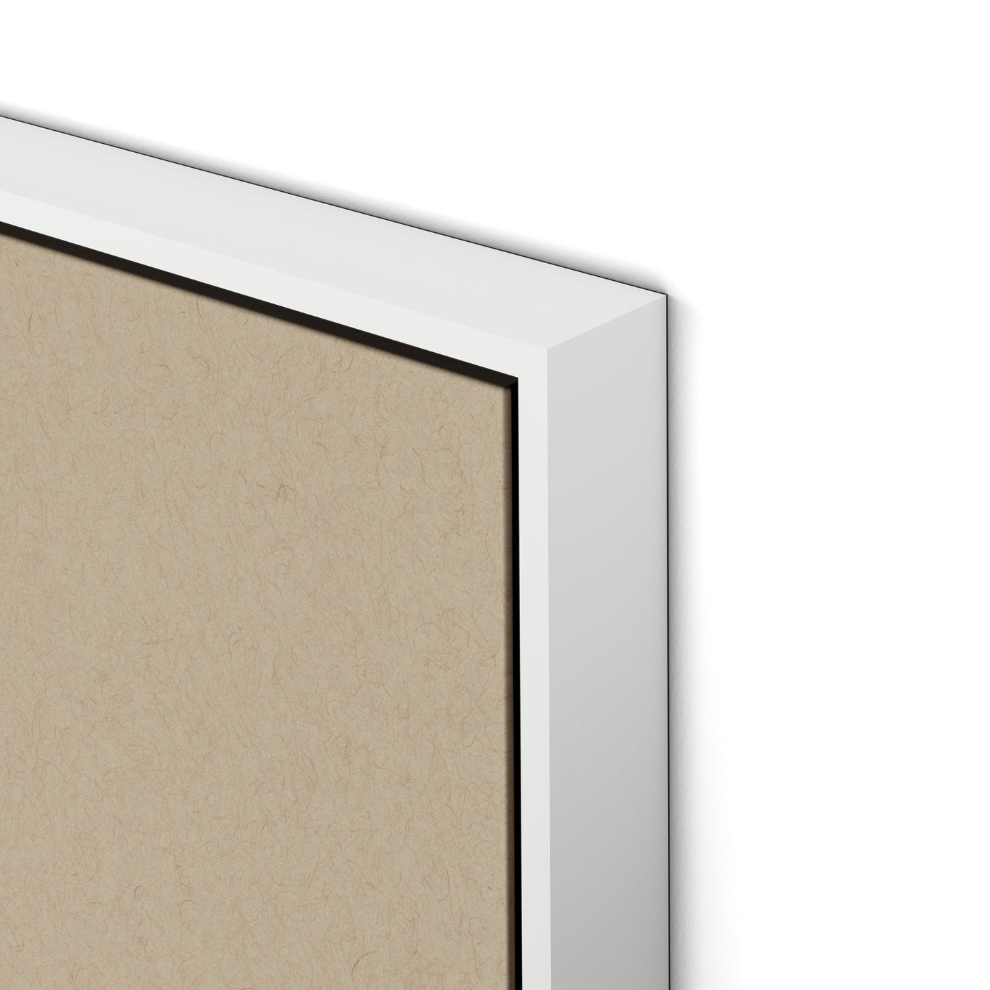 Botanical II Canvas Floater Framed / 24 x 32 in / White