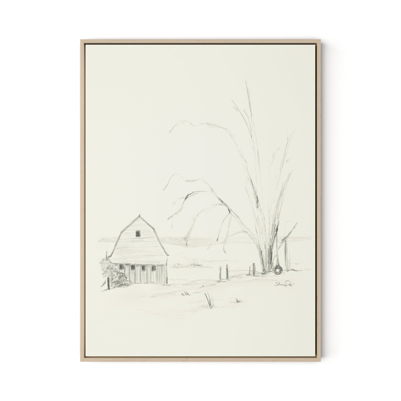 Barn and Tire Swing