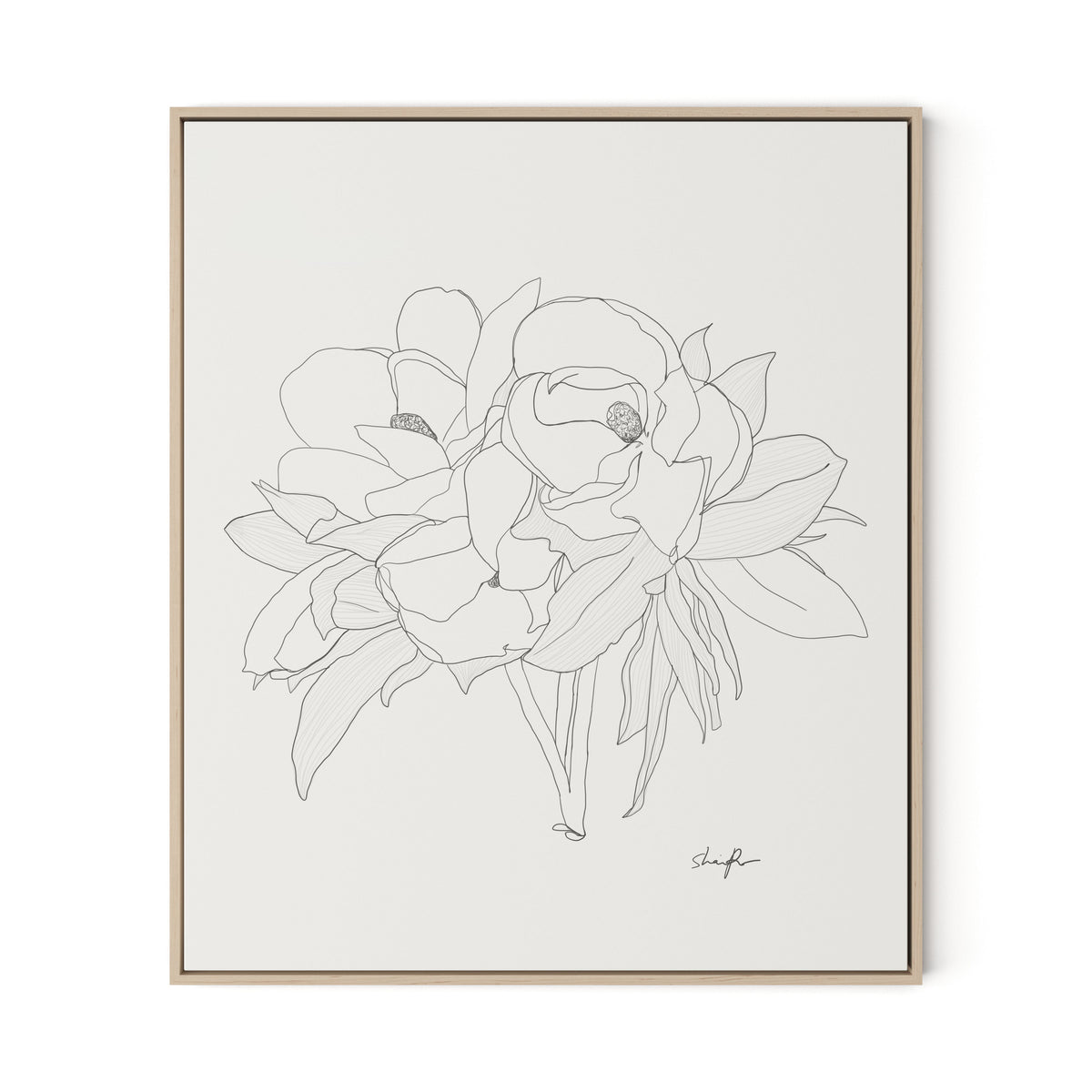 Magnolia