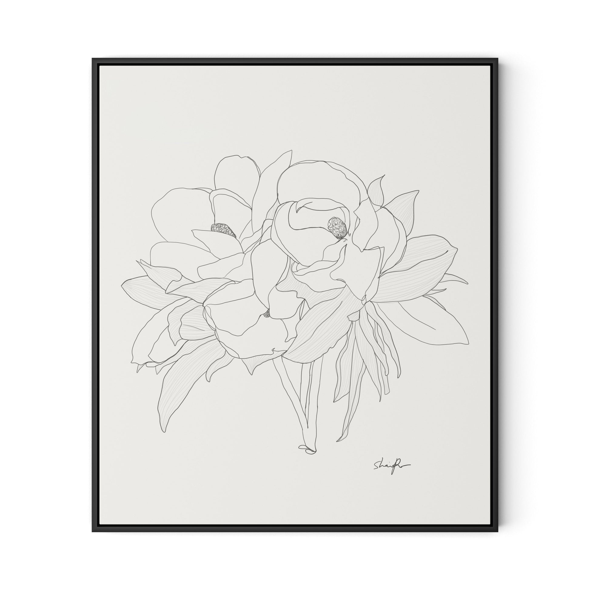 Magnolia Canvas Floater Framed / 27.5 x 32 in / Black
