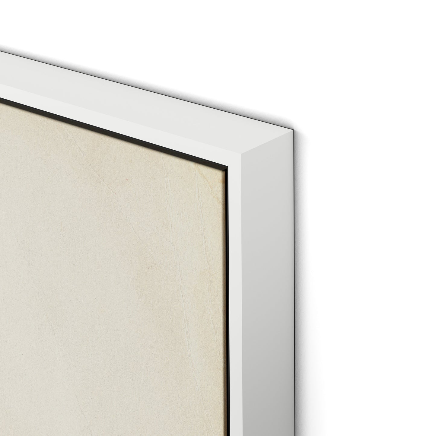 Meadow Rue 2 Canvas Floater Framed / 24 x 32 in / White