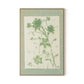 Sage Meadow Rue II Canvas Floater Framed / 21.5 x 32 in / Natural Maple