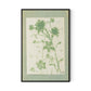 Sage Meadow Rue II Canvas Floater Framed / 21.5 x 32 in / Black