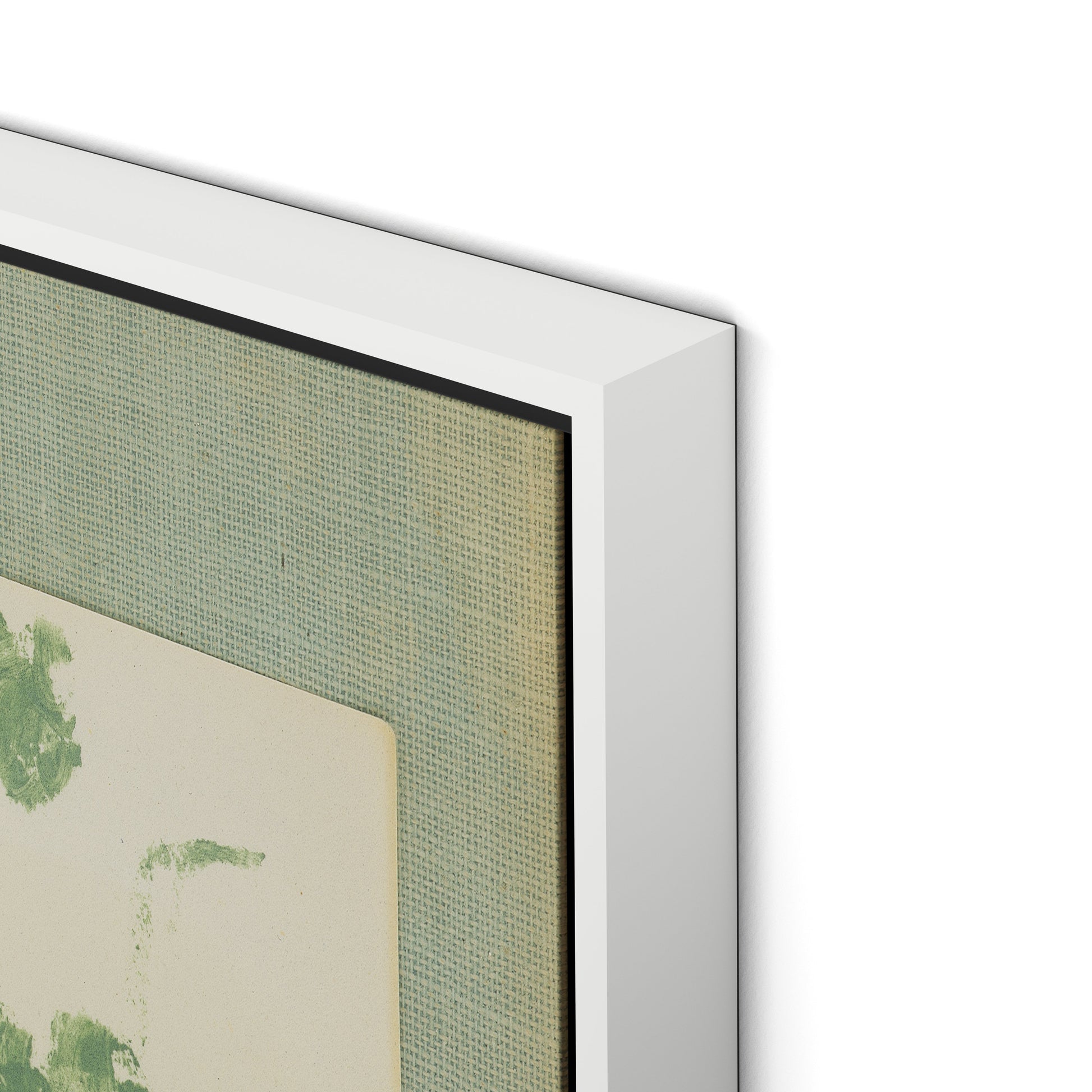 Sage Meadow Rue II Canvas Floater Framed / 21.5 x 32 in / White