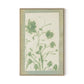 Sage Meadow Rue Canvas Floater Framed / 21.5 x 32 in / Natural Maple
