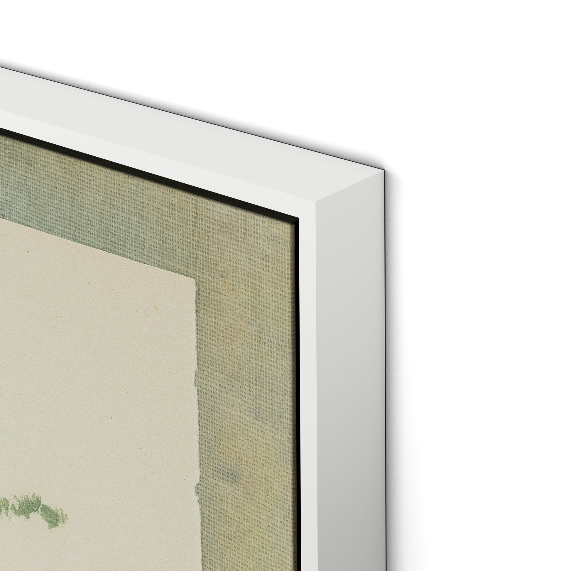 Sage Meadow Rue Canvas Floater Framed / 21.5 x 32 in / White