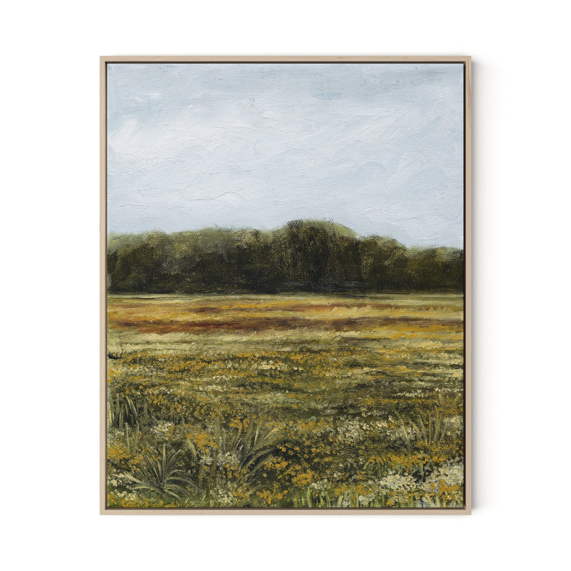 Yellow Flower Field