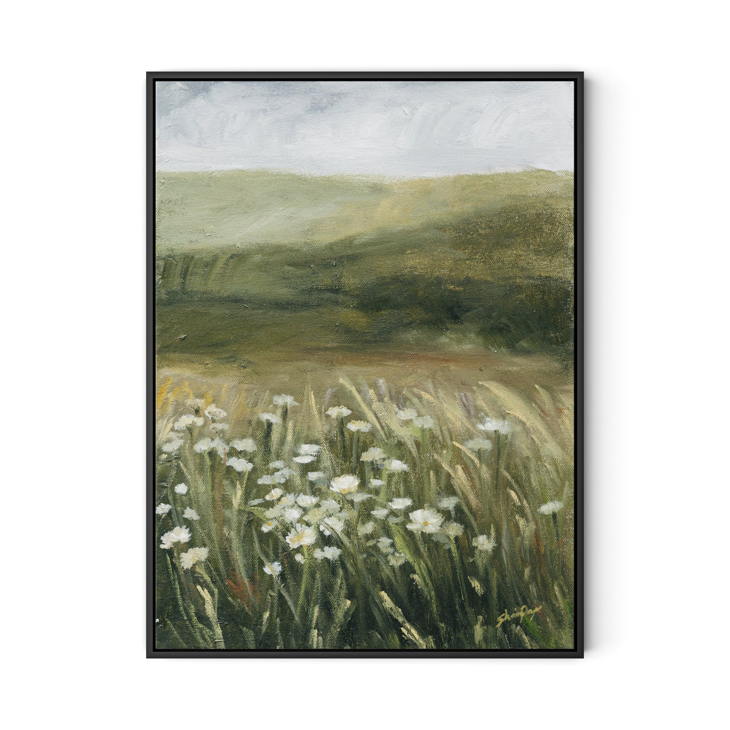 Daisy Field Canvas Floater Framed / 24 x 32 in / Black