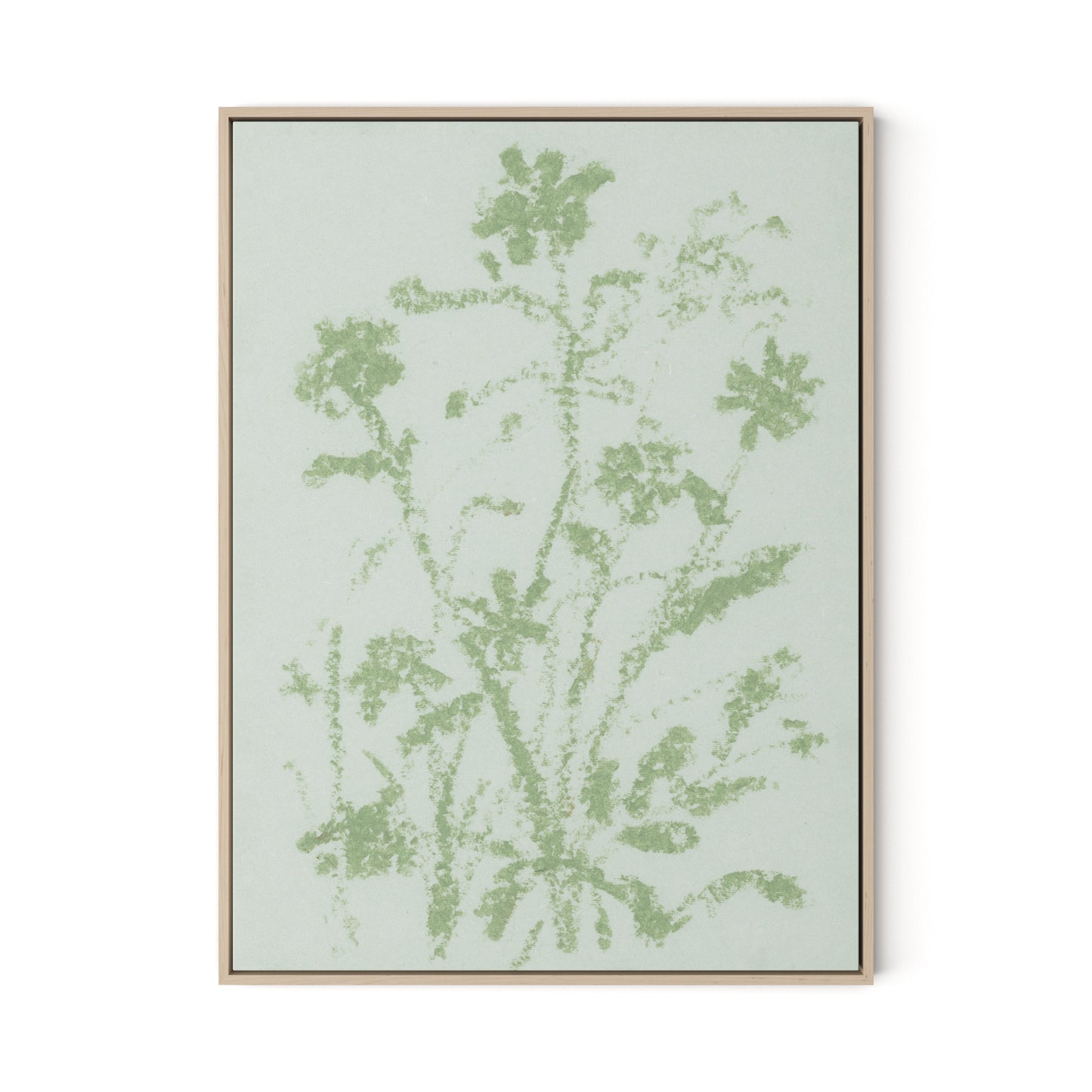 Sage Cosmos Canvas Floater Framed / 24 x 32 in / Natural Maple