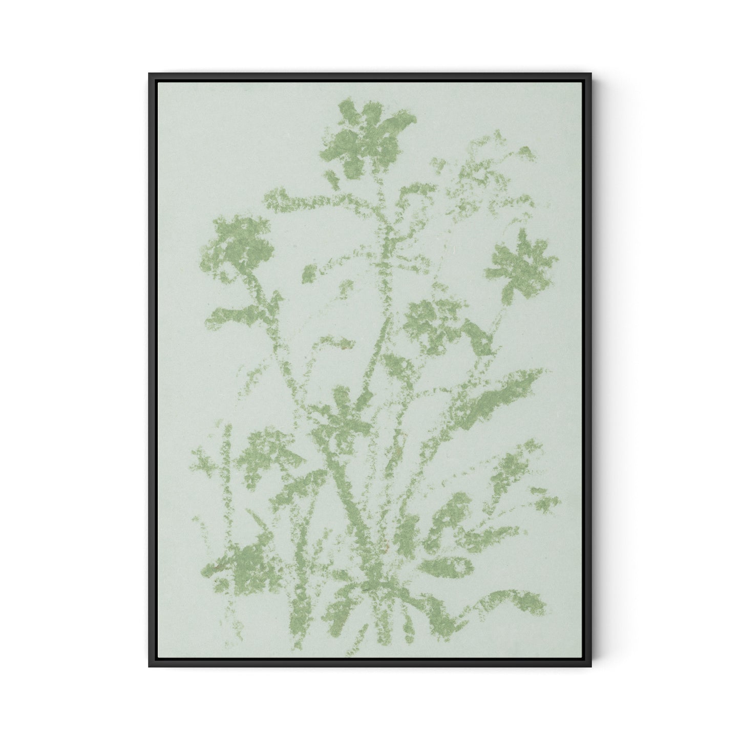 Sage Cosmos Canvas Floater Framed / 24 x 32 in / Black