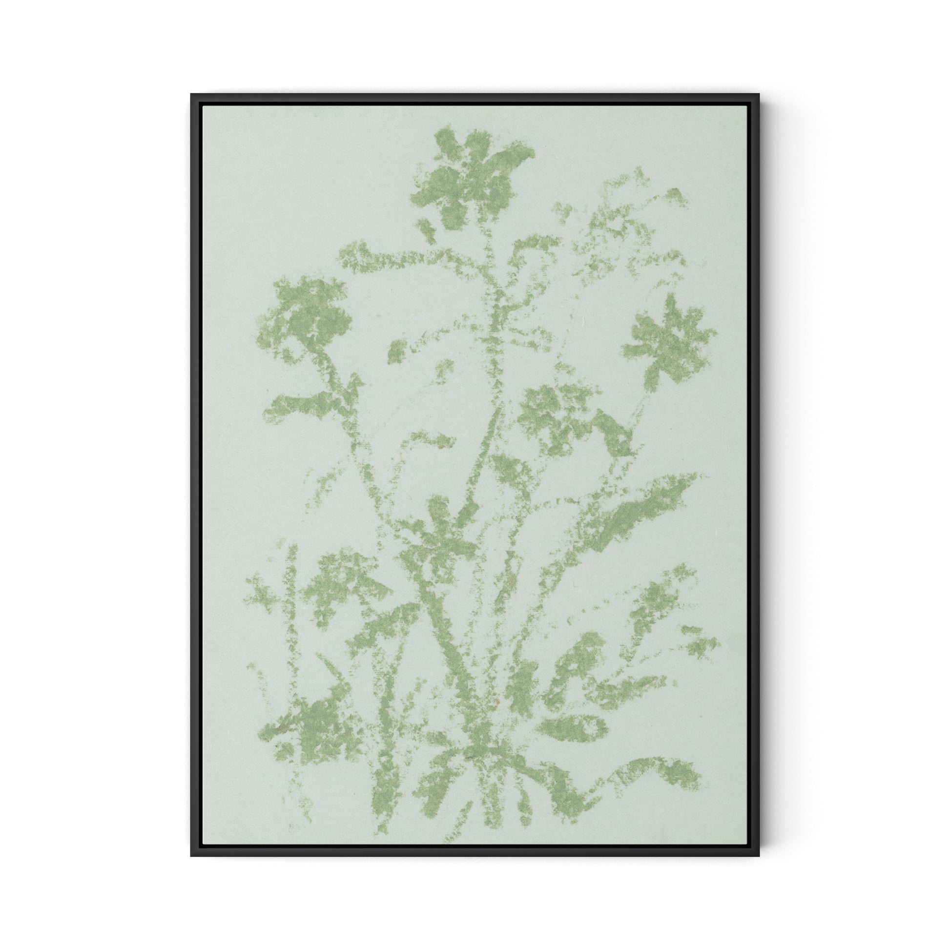 Sage Cosmos Canvas Floater Framed / 24 x 32 in / Black