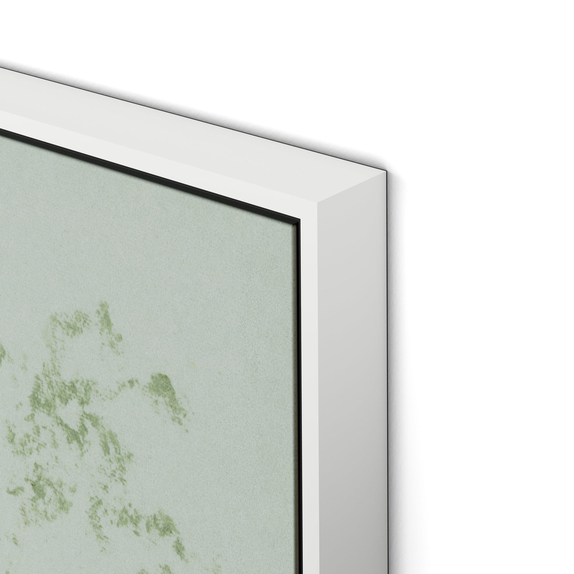 Sage Cosmos Canvas Floater Framed / 24 x 32 in / White