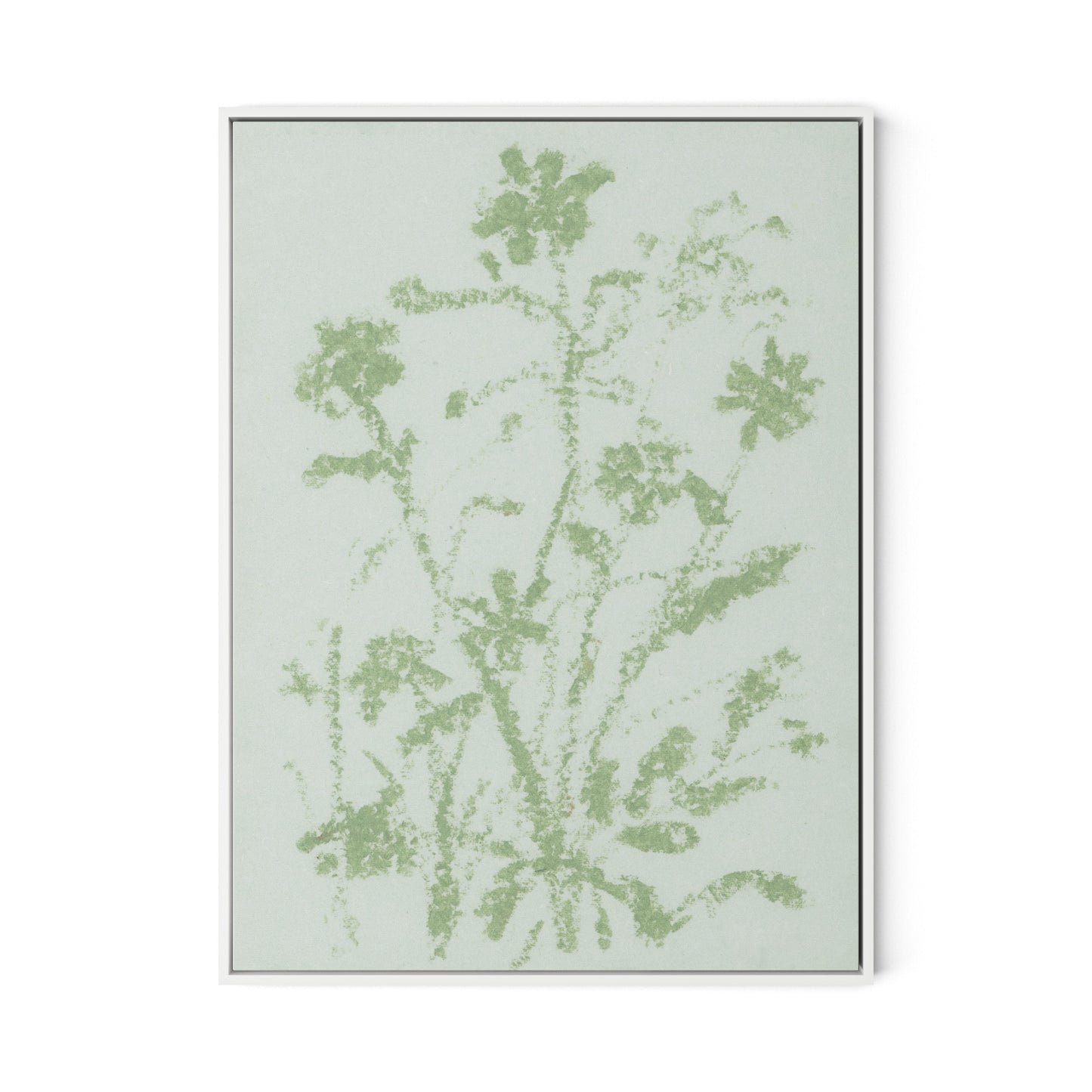 Sage Cosmos Canvas Floater Framed / 24 x 32 in / White