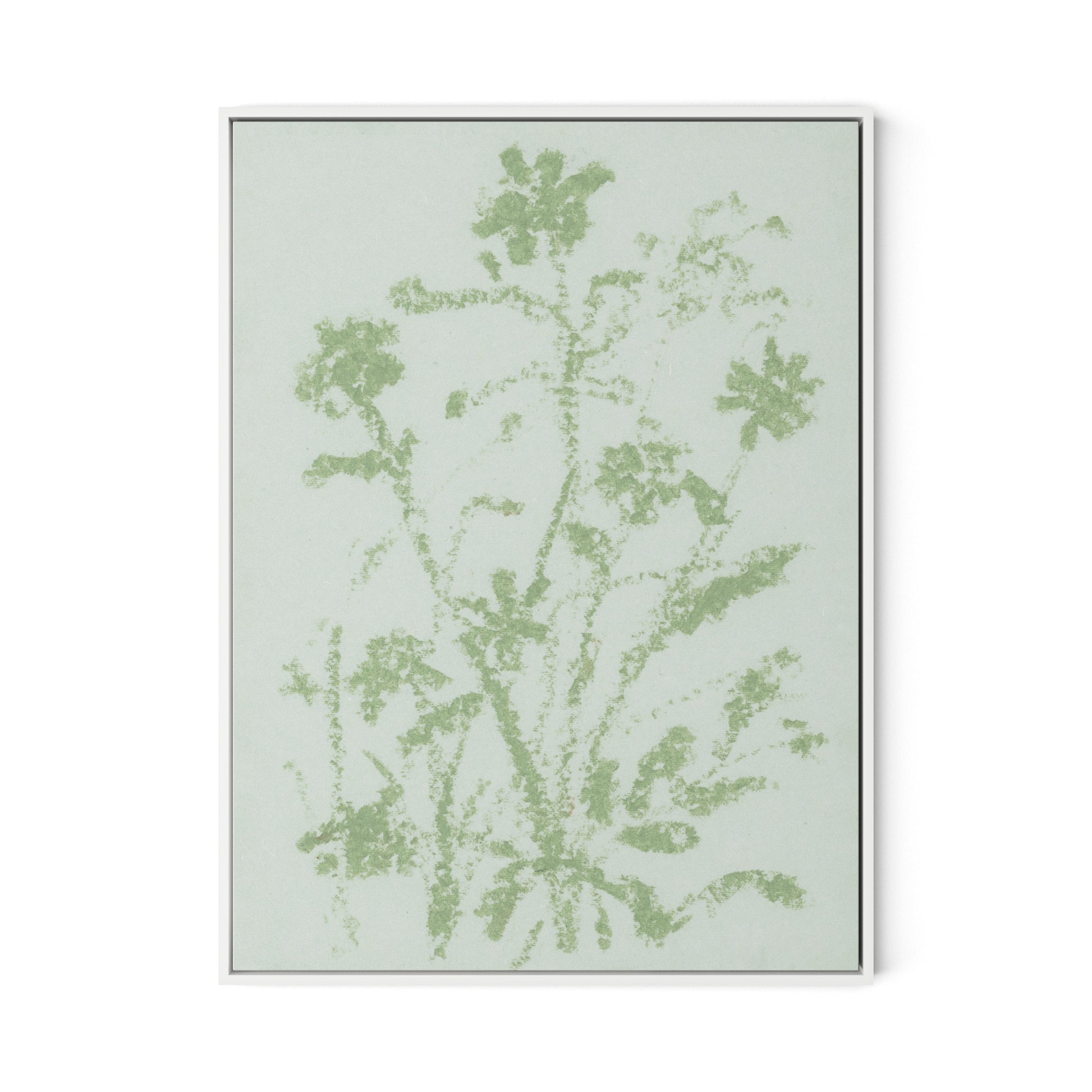 Sage Cosmos Canvas Floater Framed / 24 x 32 in / White