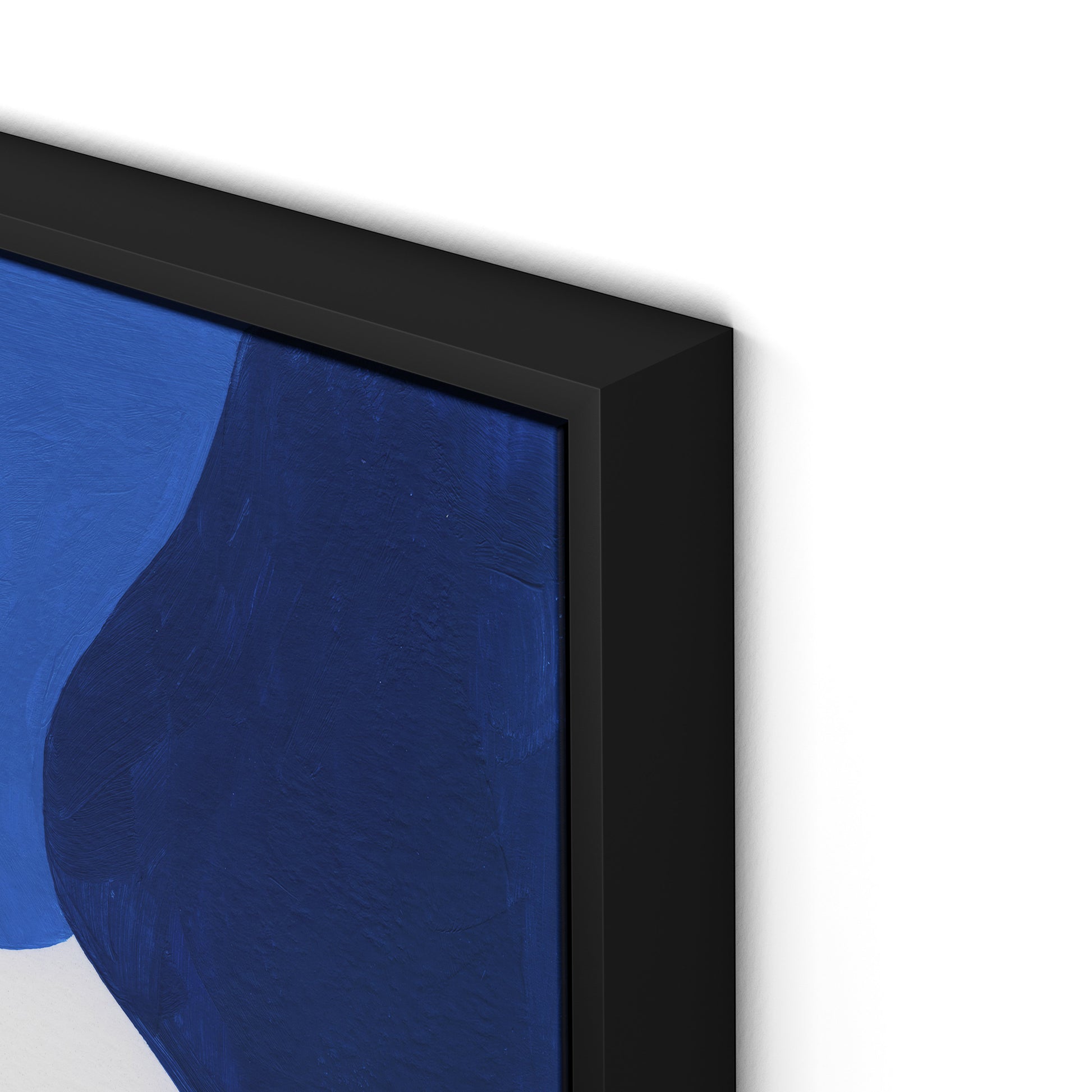 Gallinule No. 6 Canvas Floater Framed / 24 x 32 in / Black