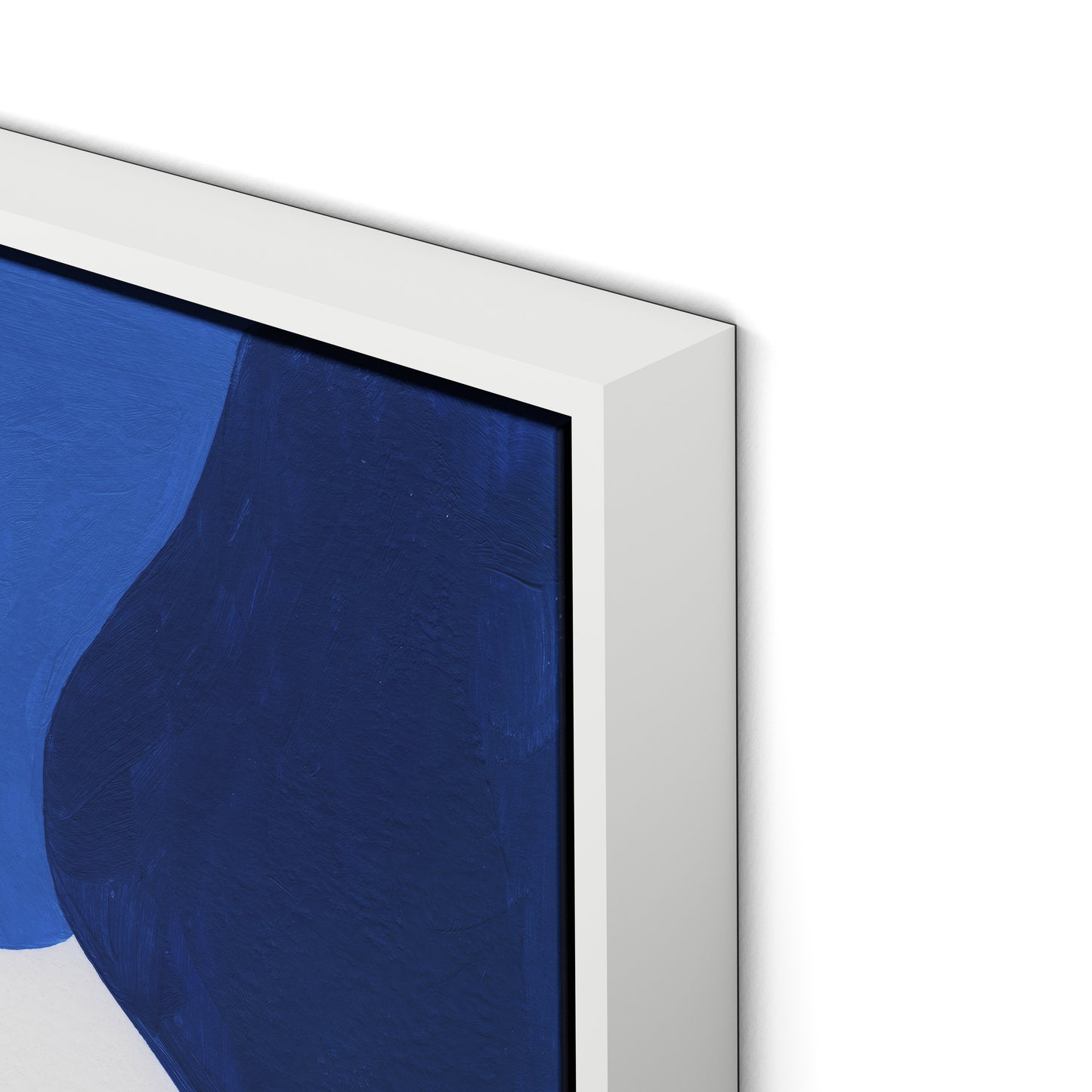 Gallinule No. 6 Canvas Floater Framed / 24 x 32 in / White