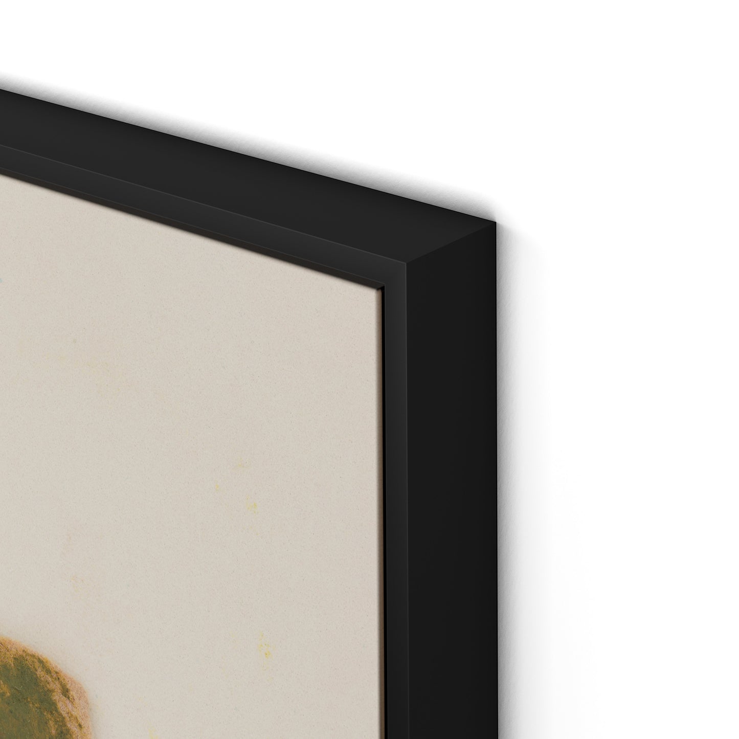 Pink Alpine Flax Canvas Floater Framed / 24 x 32 in / Black