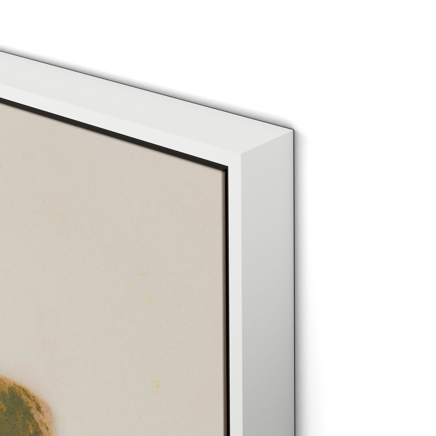 Pink Alpine Flax Canvas Floater Framed / 24 x 32 in / White