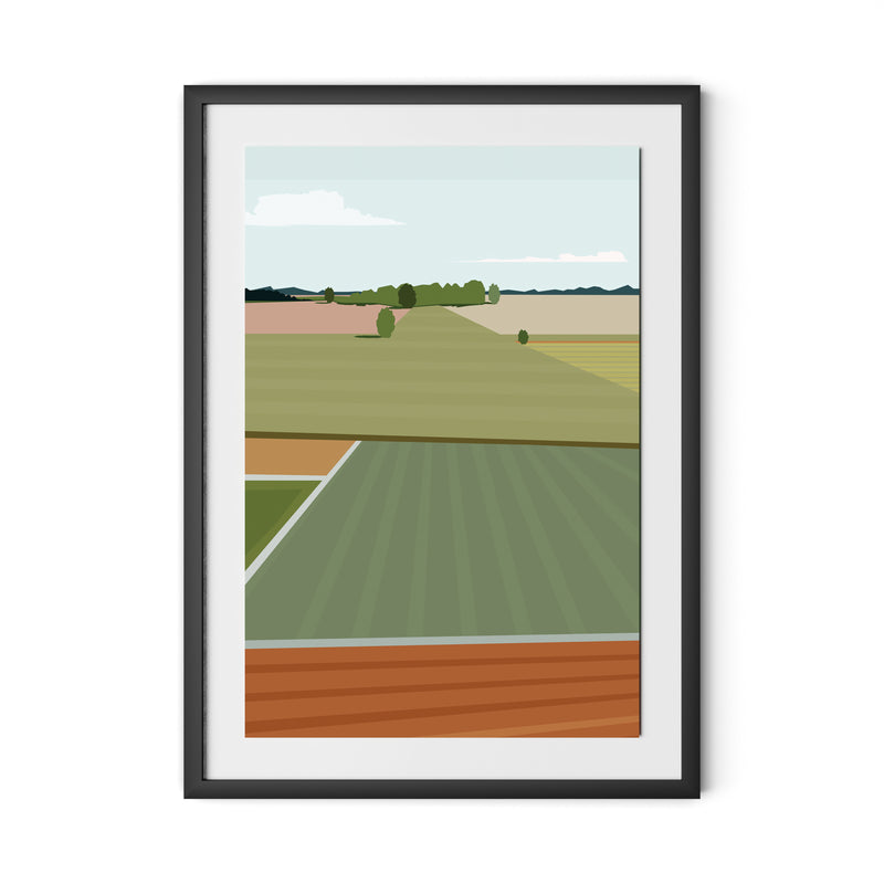 Fields