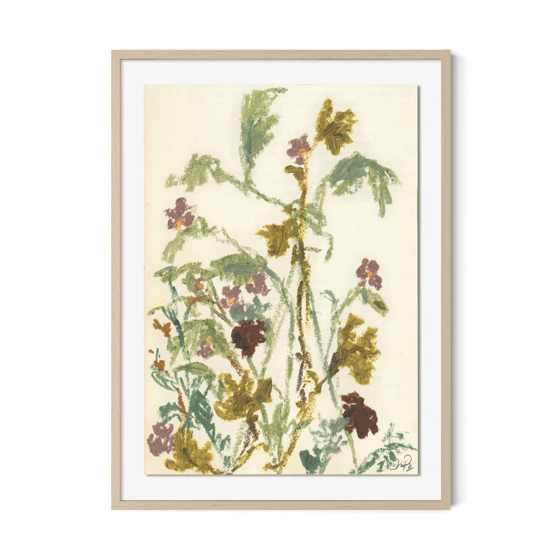 Meadow Rue 1