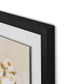Chorus of Daisies Framed Paper / 32 x 24 in / Black