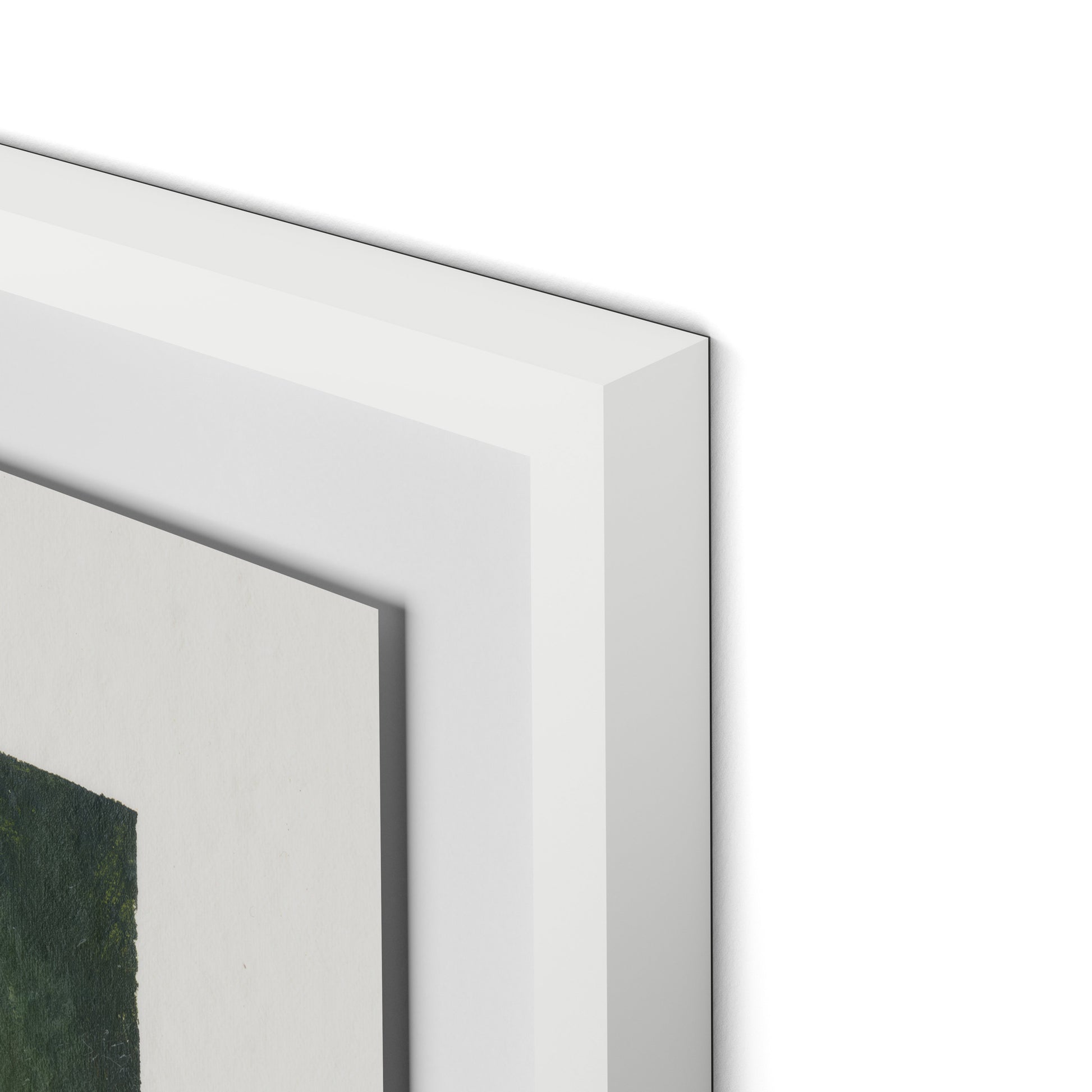 Wildflower Constellations XIX with border Framed Paper / 32 x 24 in / White